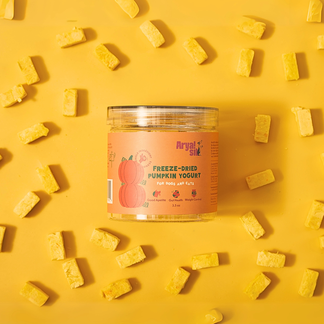 Arya Sit! Freeze-Dried Pumpkin Yogurt 3.5oz