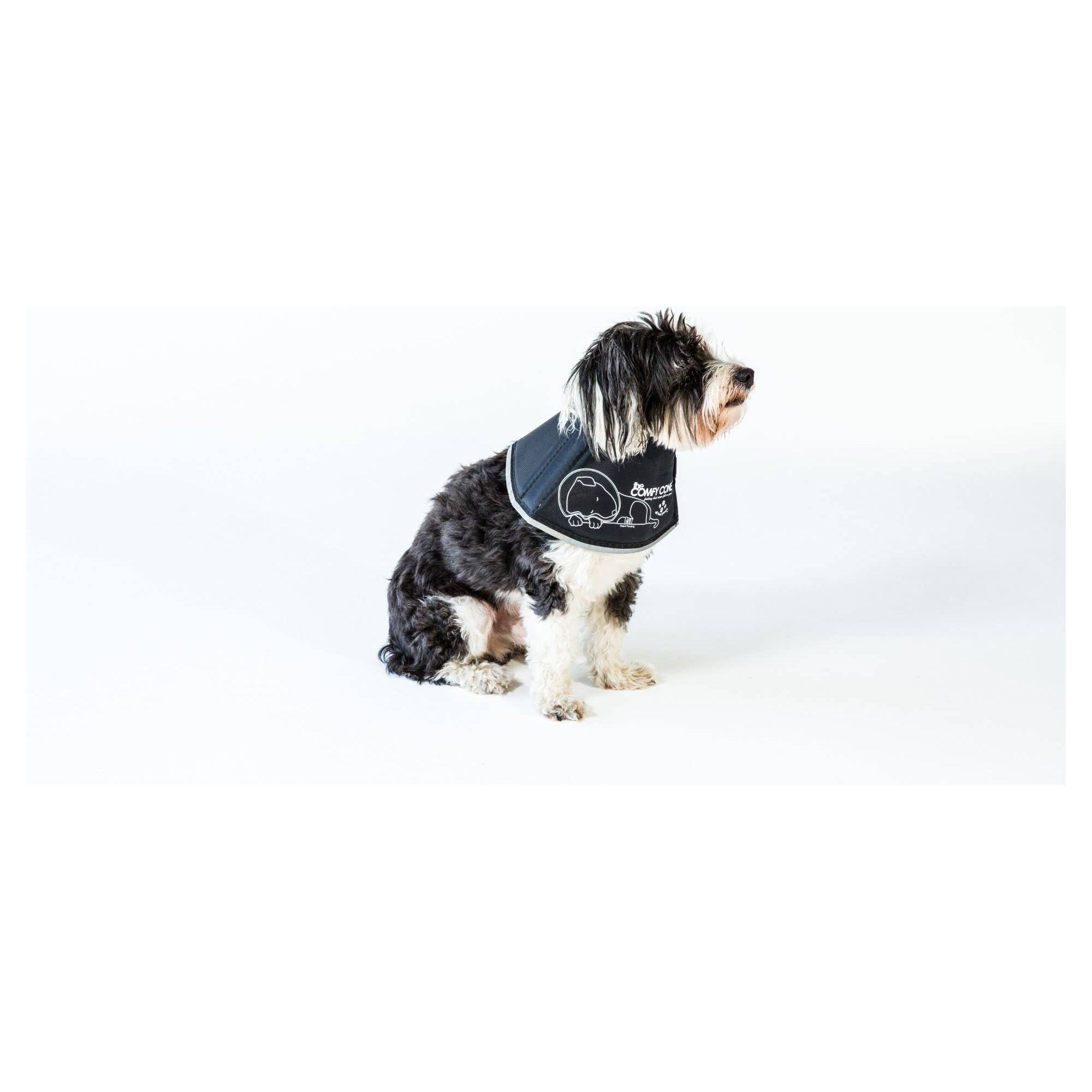 All Four Paws The Original Comfy Cone - S