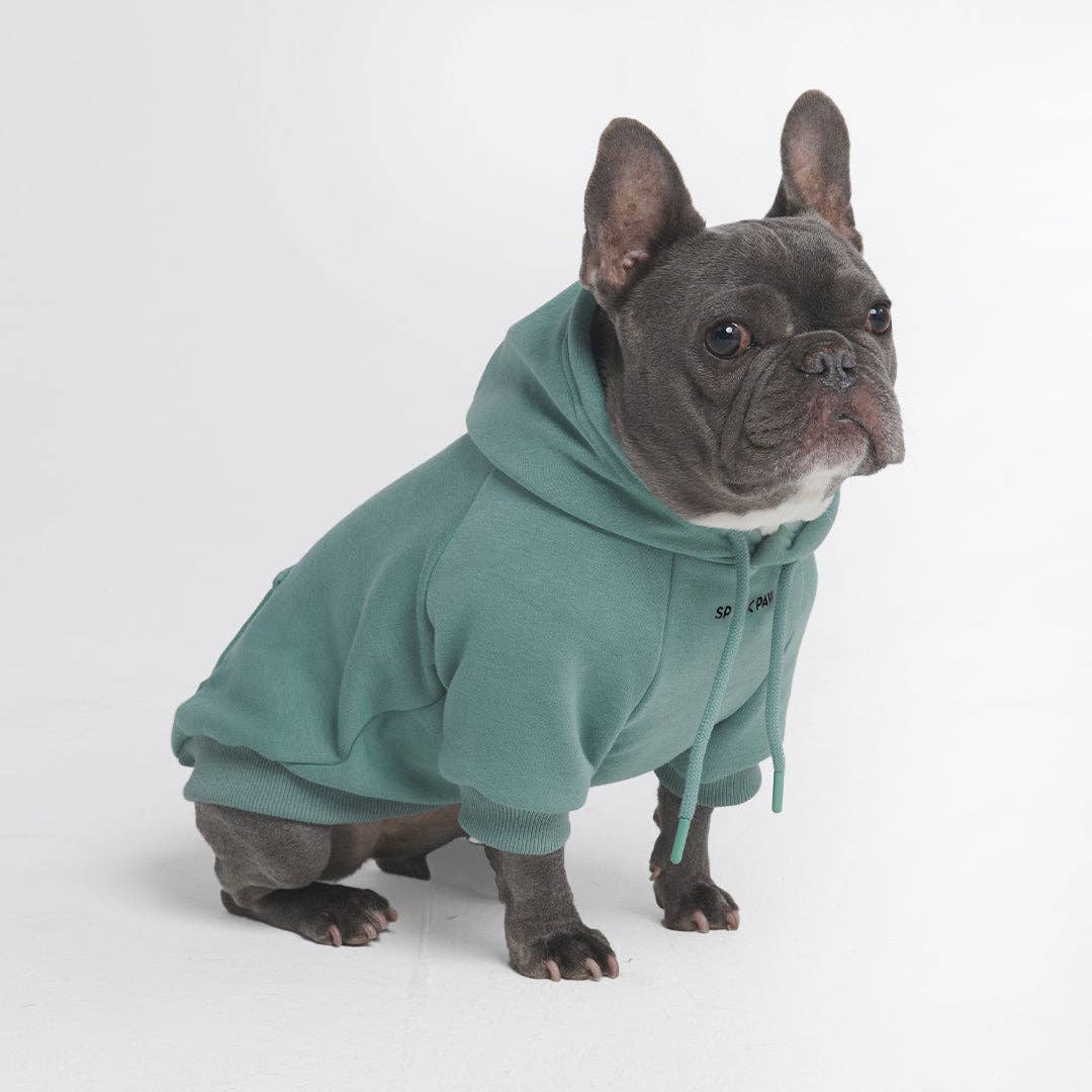 SparkPaws Essential Dog Hoodie - Teal