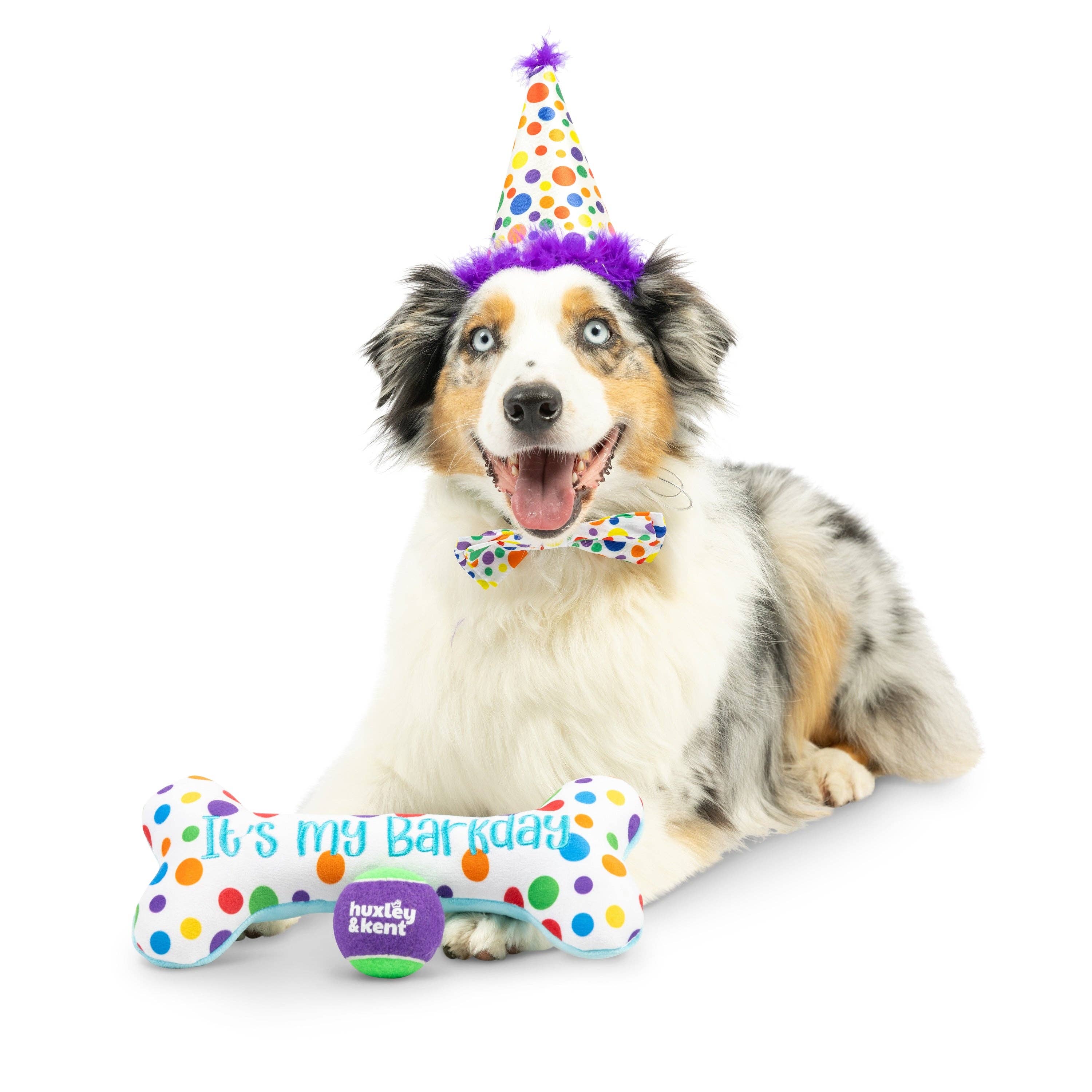Happy Barkday Celebration Box