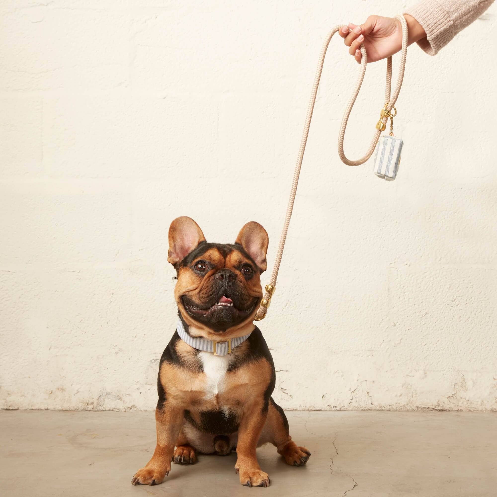 The Foggy Dog Dusty Blue Stripe Dog Collar