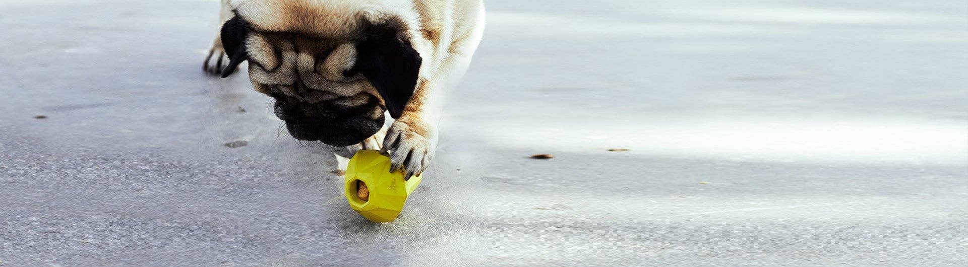 Super Pear | Dog Toy