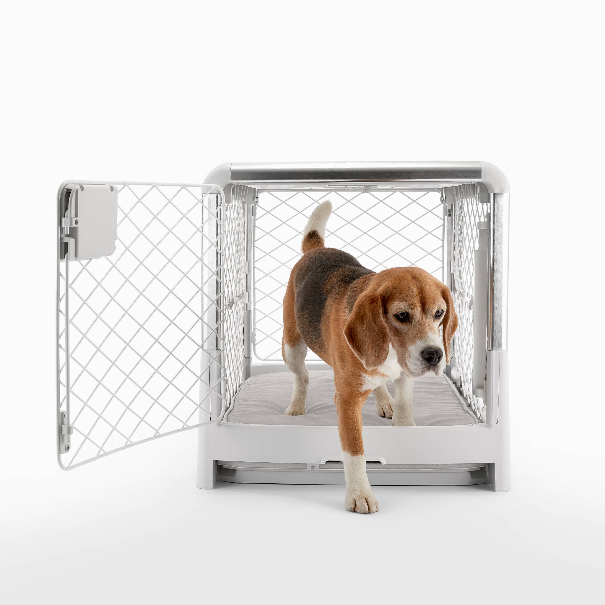 Diggs Revol Collapsible Dog Crate