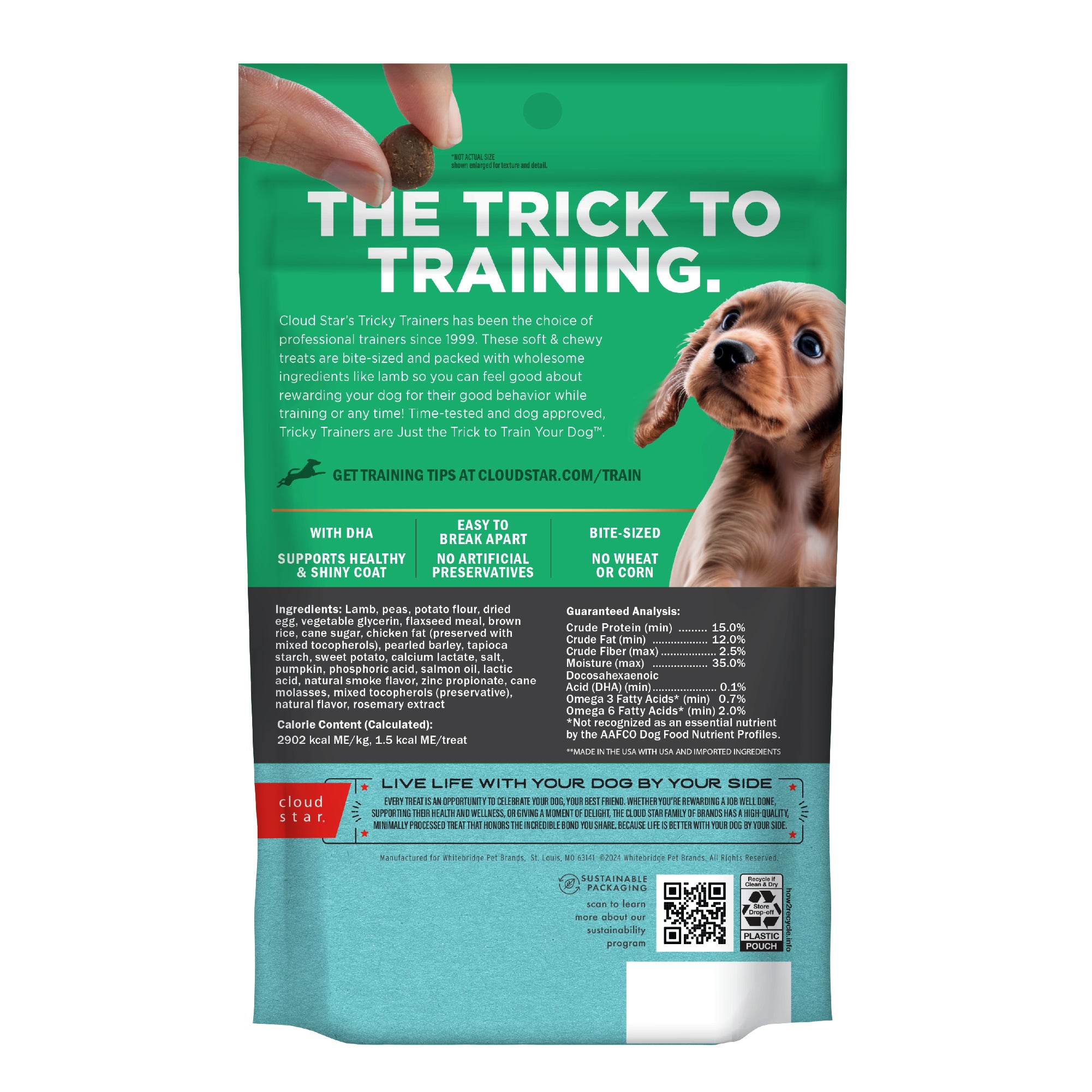 Cloudstar Tricky Trainers Puppy With Lamb