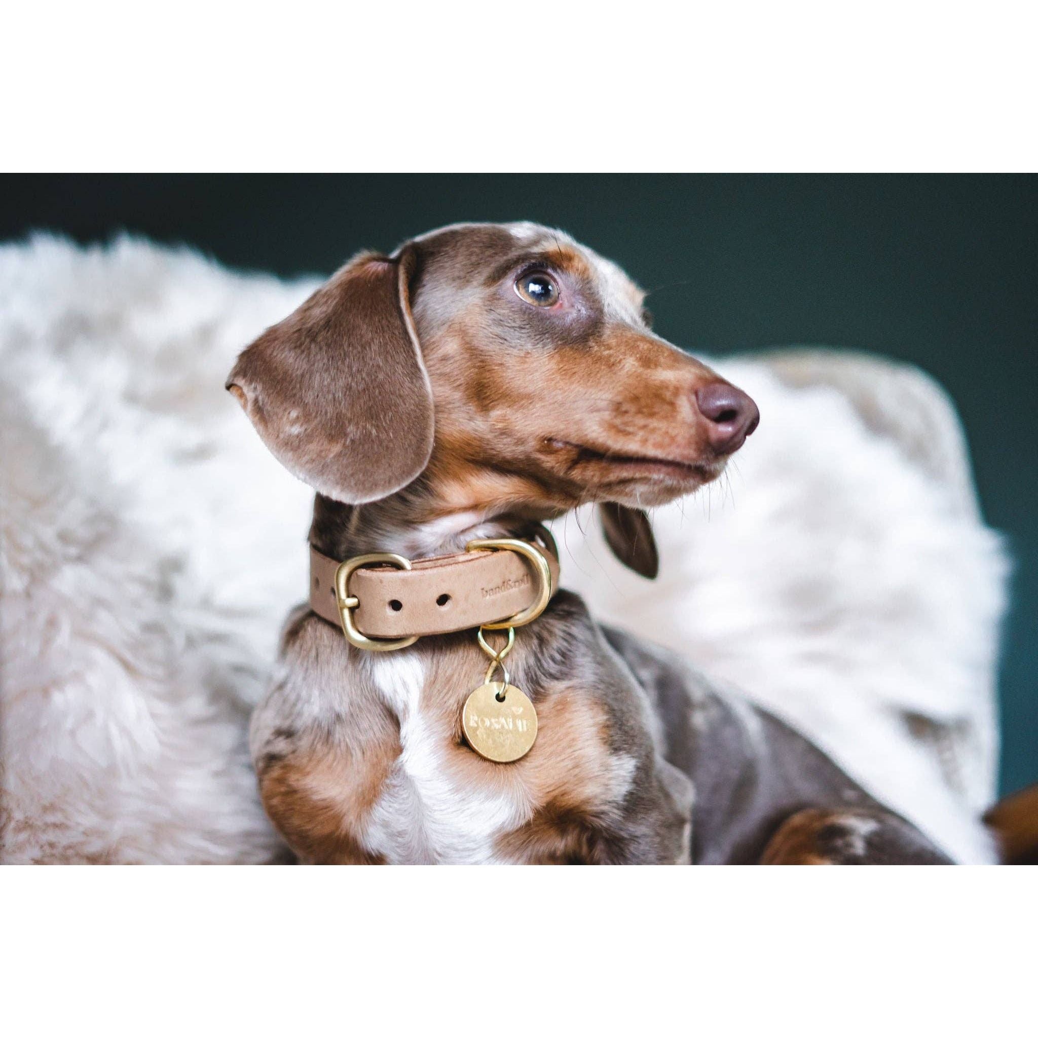 BAND&ROLL Leather Fir Collar