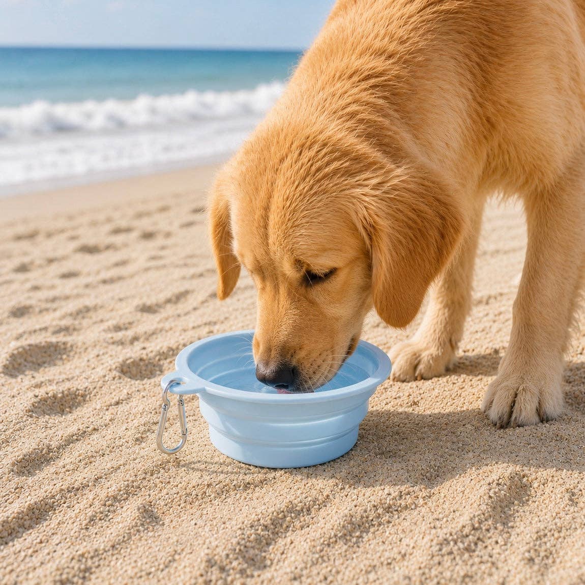Pawsome Tails Collapsible Travel Bowl
