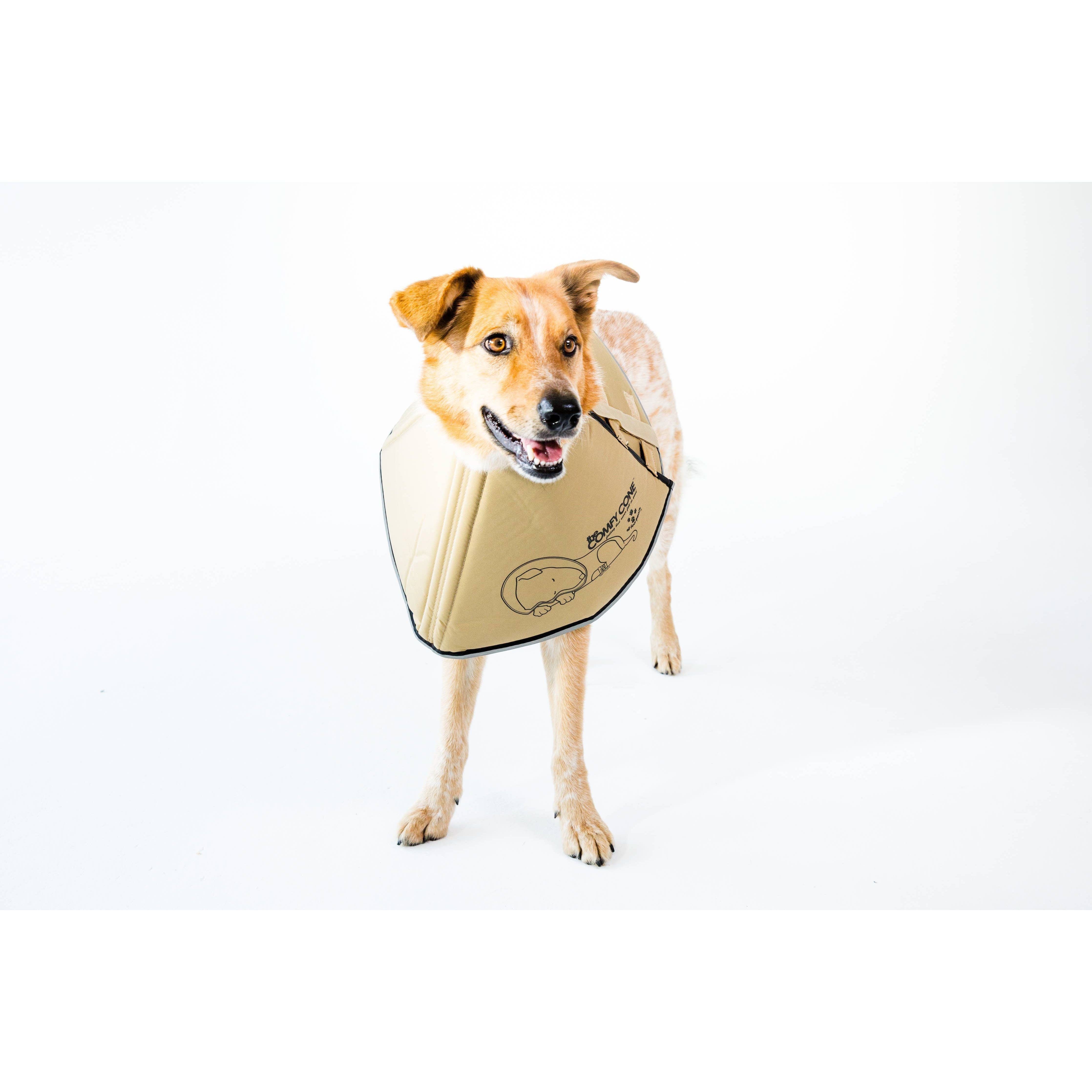 All Four Paws The Original Comfy Cone - L