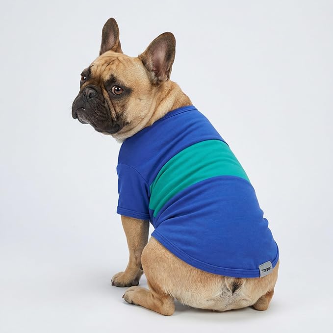 Fitwarm Colorblock Tee Teal