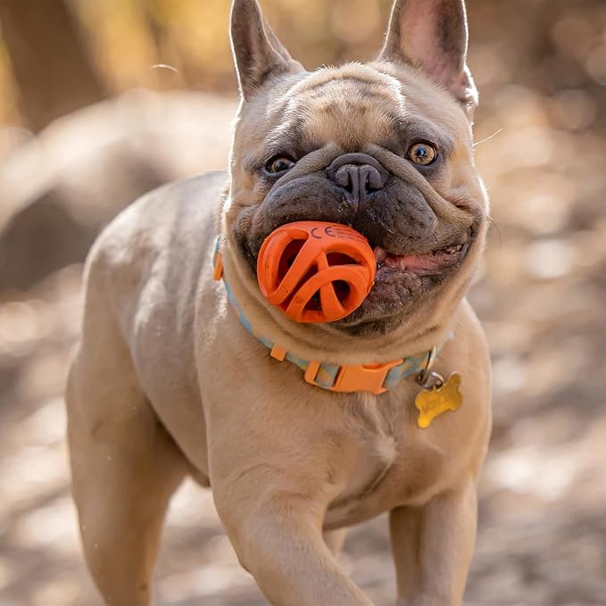 CHUCK IT Air Fetch Ball Medium