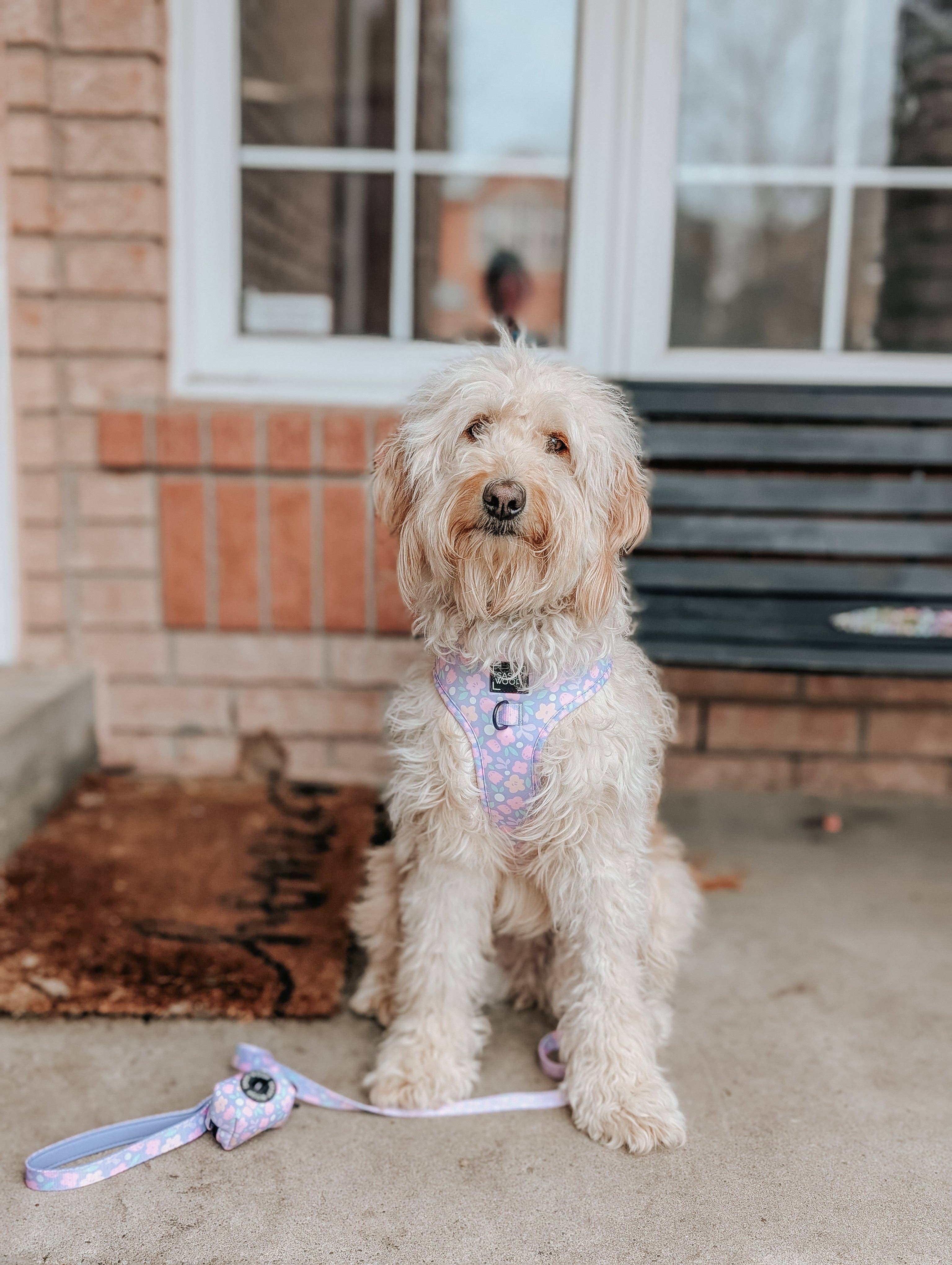 Sassy Woof Waste Bag Holder - Fleur de Sass