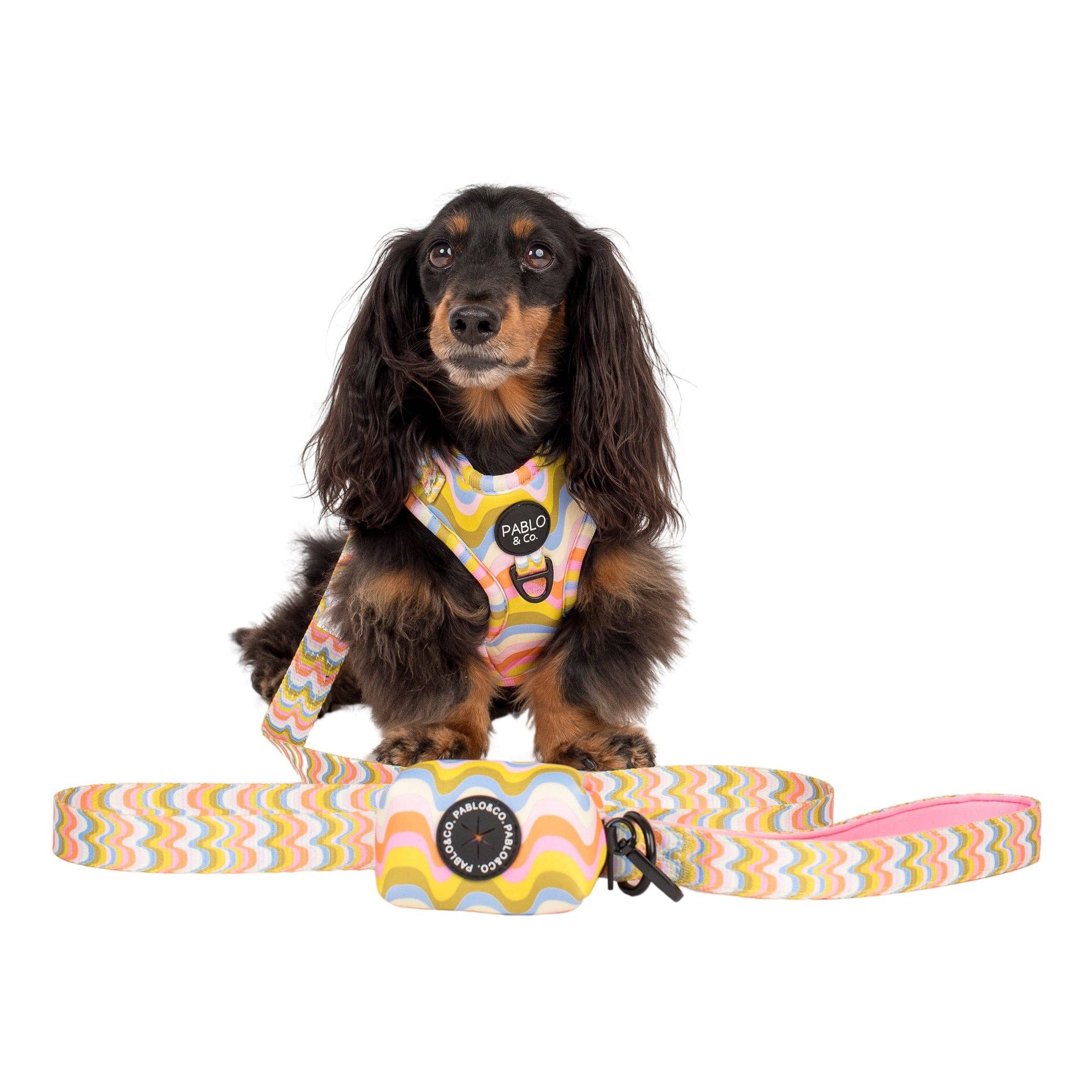 Pablo & Co Boho Waves Dog Poop Bag Holder