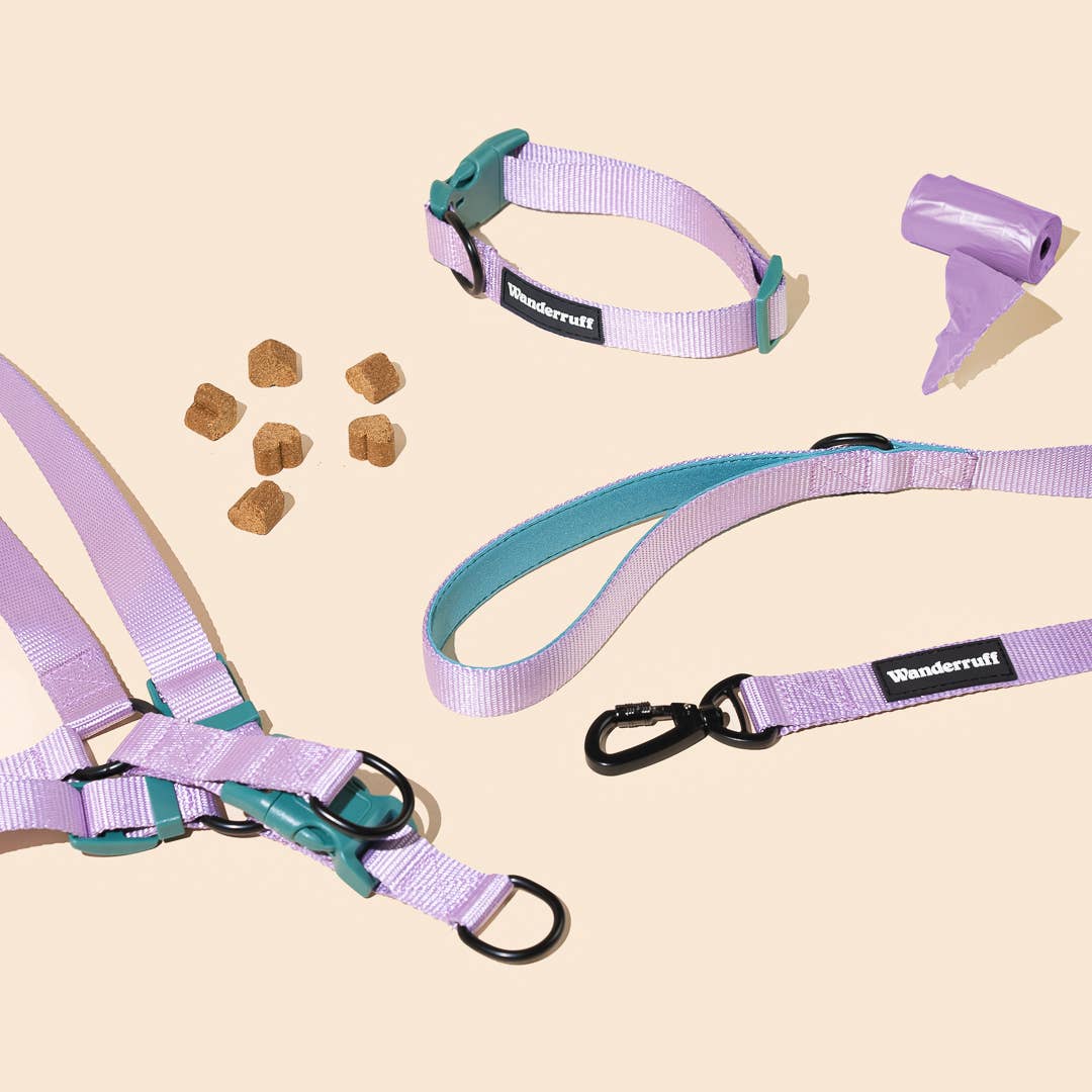 Wanderruff Daisy Leash