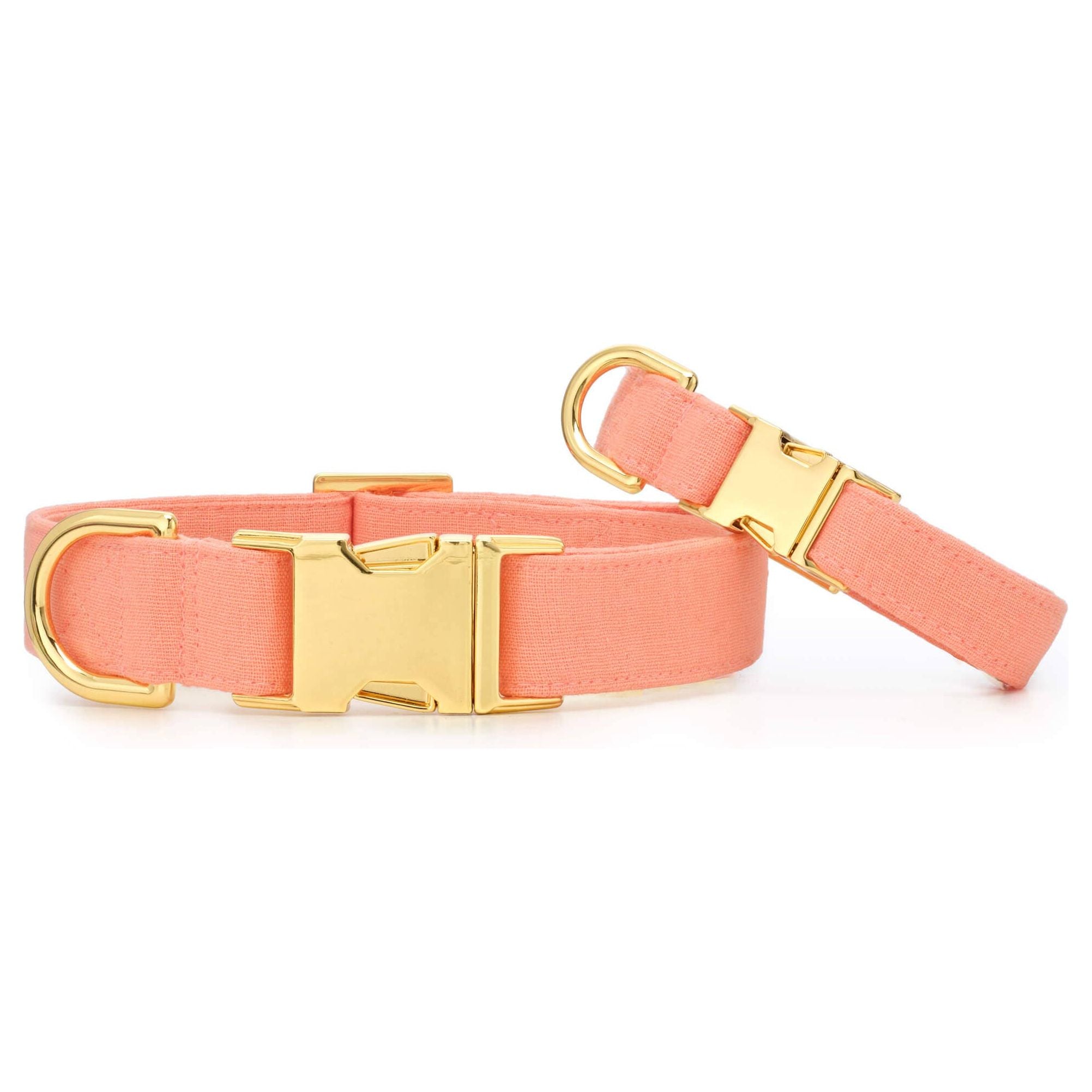 The Foggy Dog Mango Spring Dog Collar