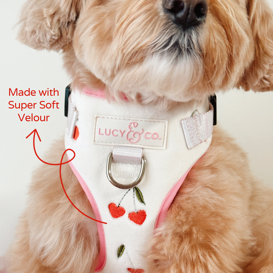 Lucy & Co. Cherry Cute Velour No-Pull Harness