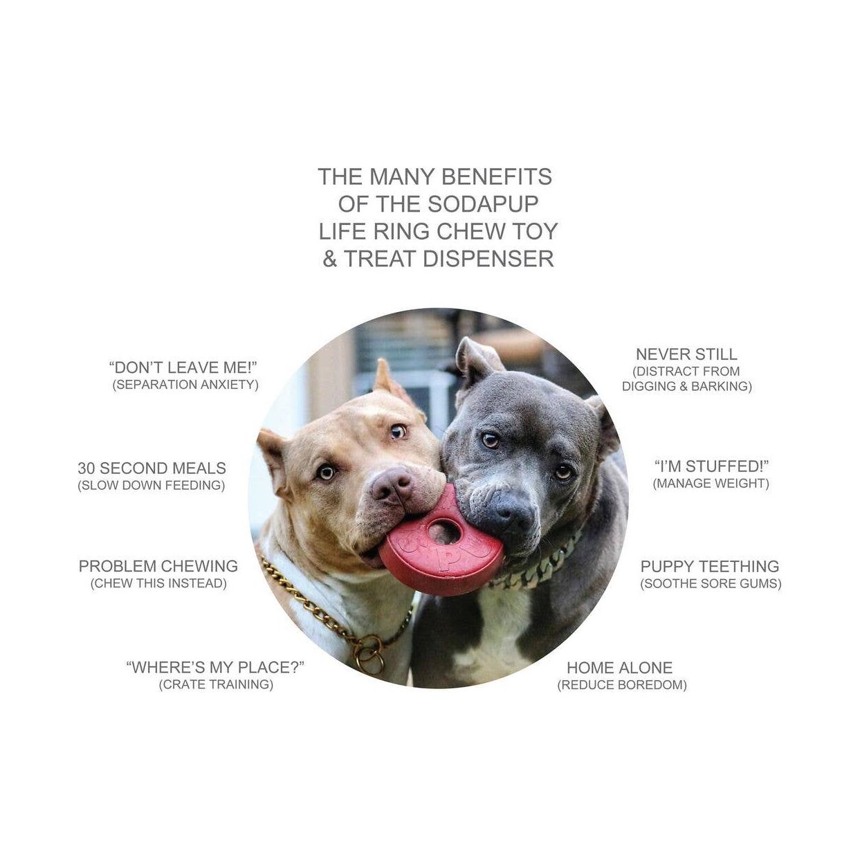 SodaPup Life Ring Durable Rubber Chew Toy & Treat Dispenser