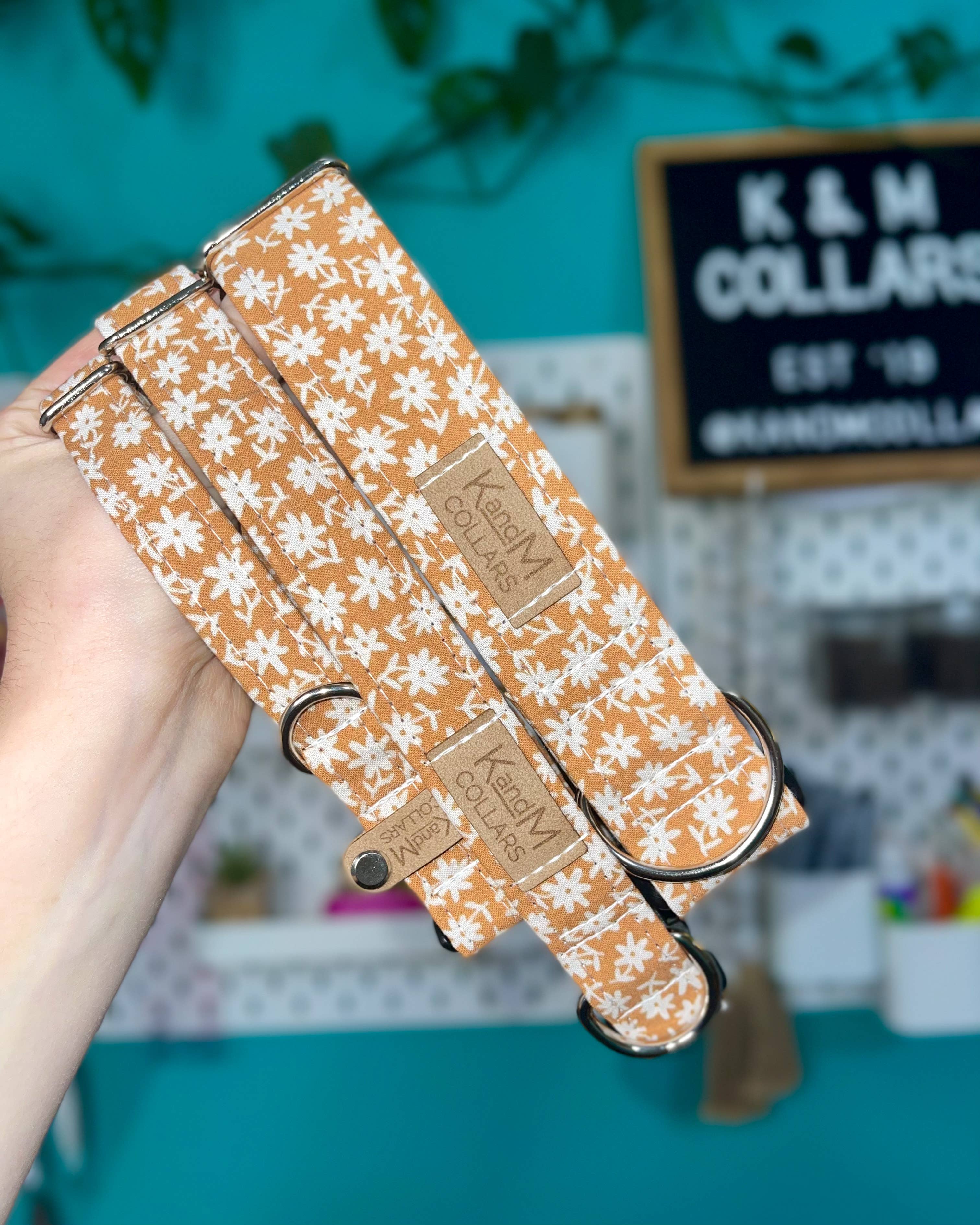 Mustard Flowers Dog Collar, K and M Collars