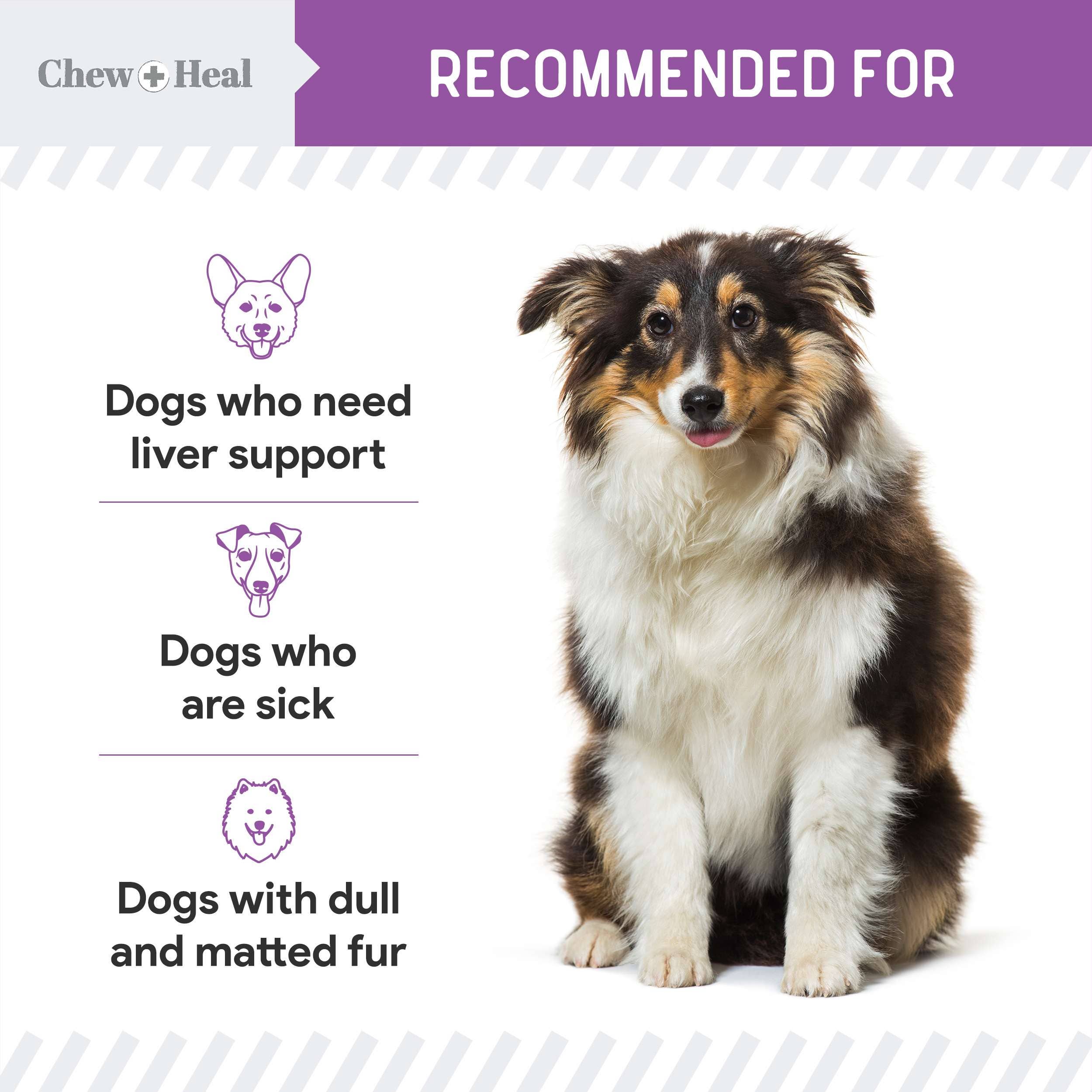 Chew + Heal Milk Thistle Tincture with Moringa & Salmon Oil for Dogs