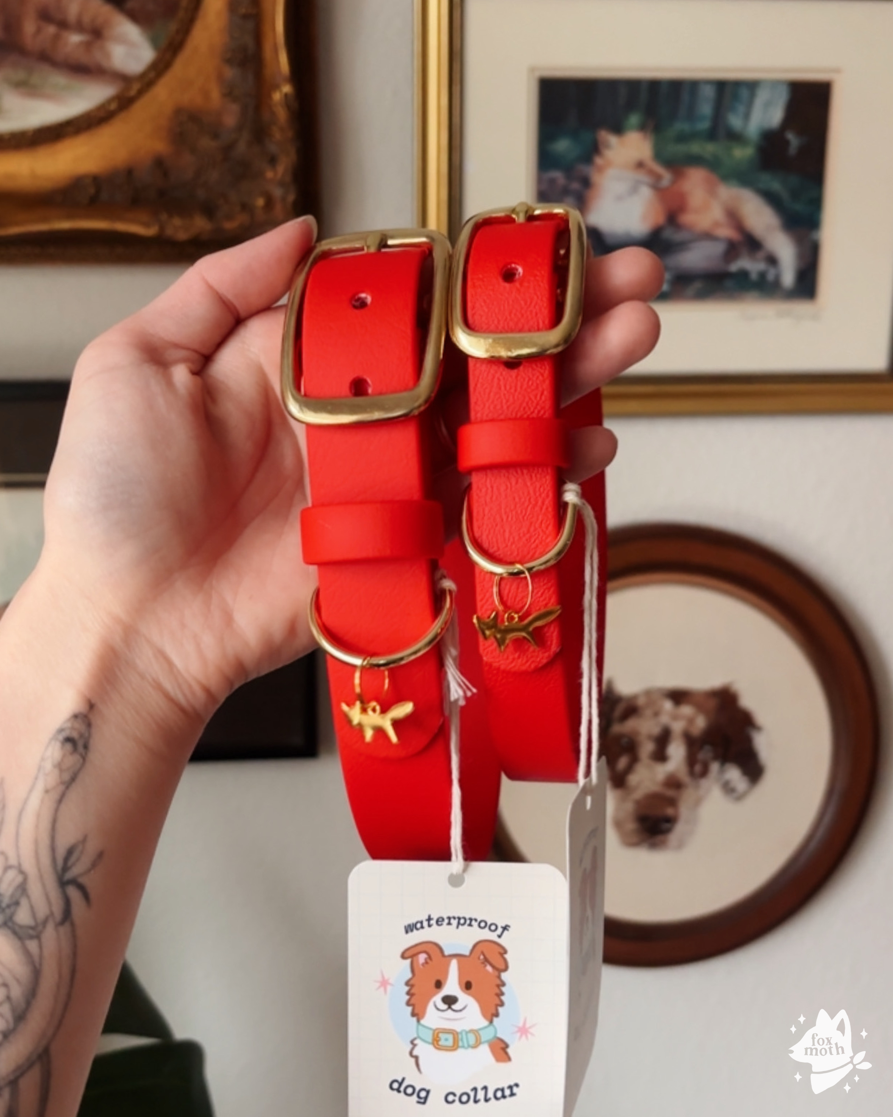 Foxmoth Waterproof Biothane Collar