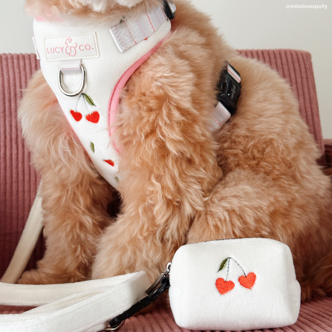 Lucy & Co. Cherry Cute Velour No-Pull Harness