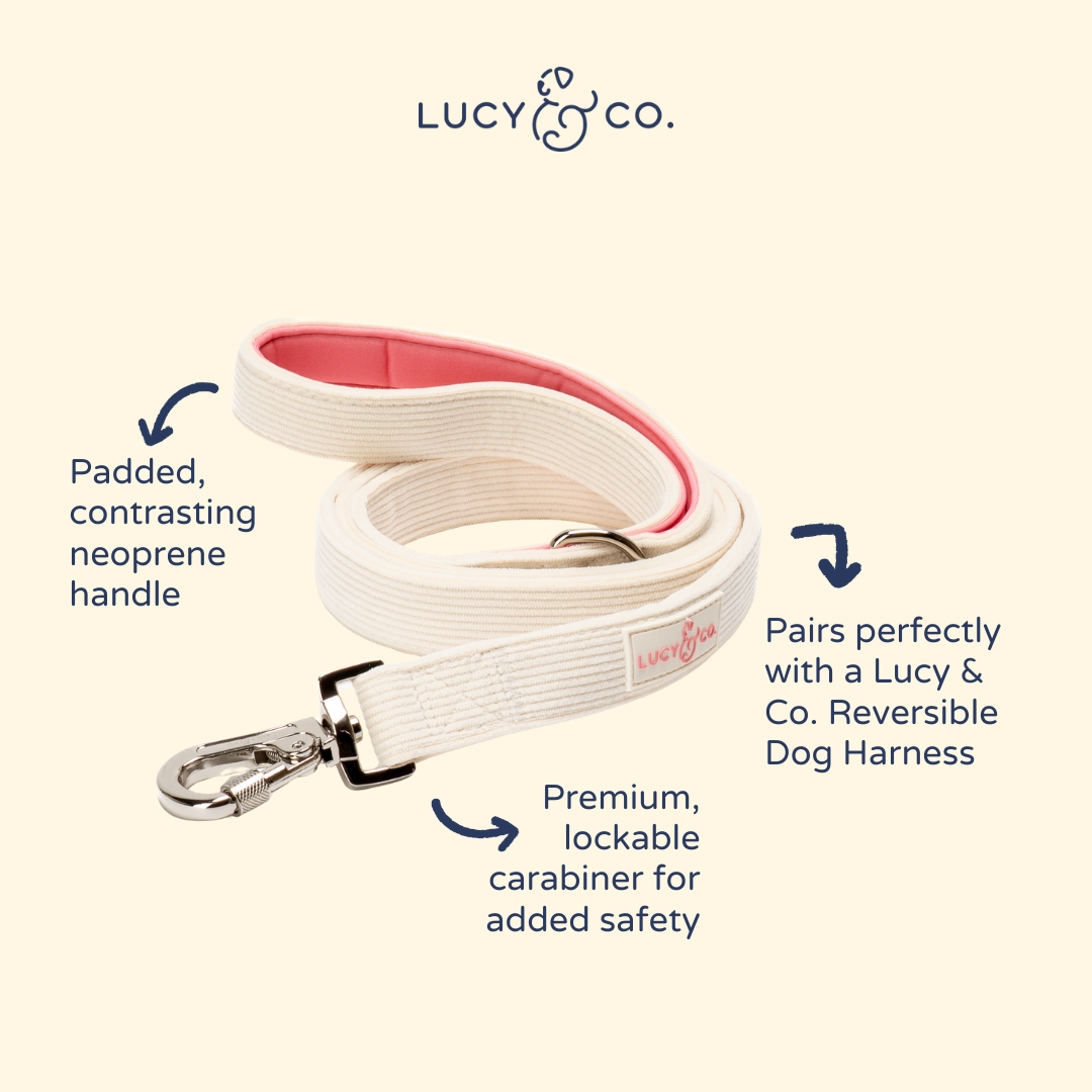 Lucy & Co. Ivory Corduroy Leash