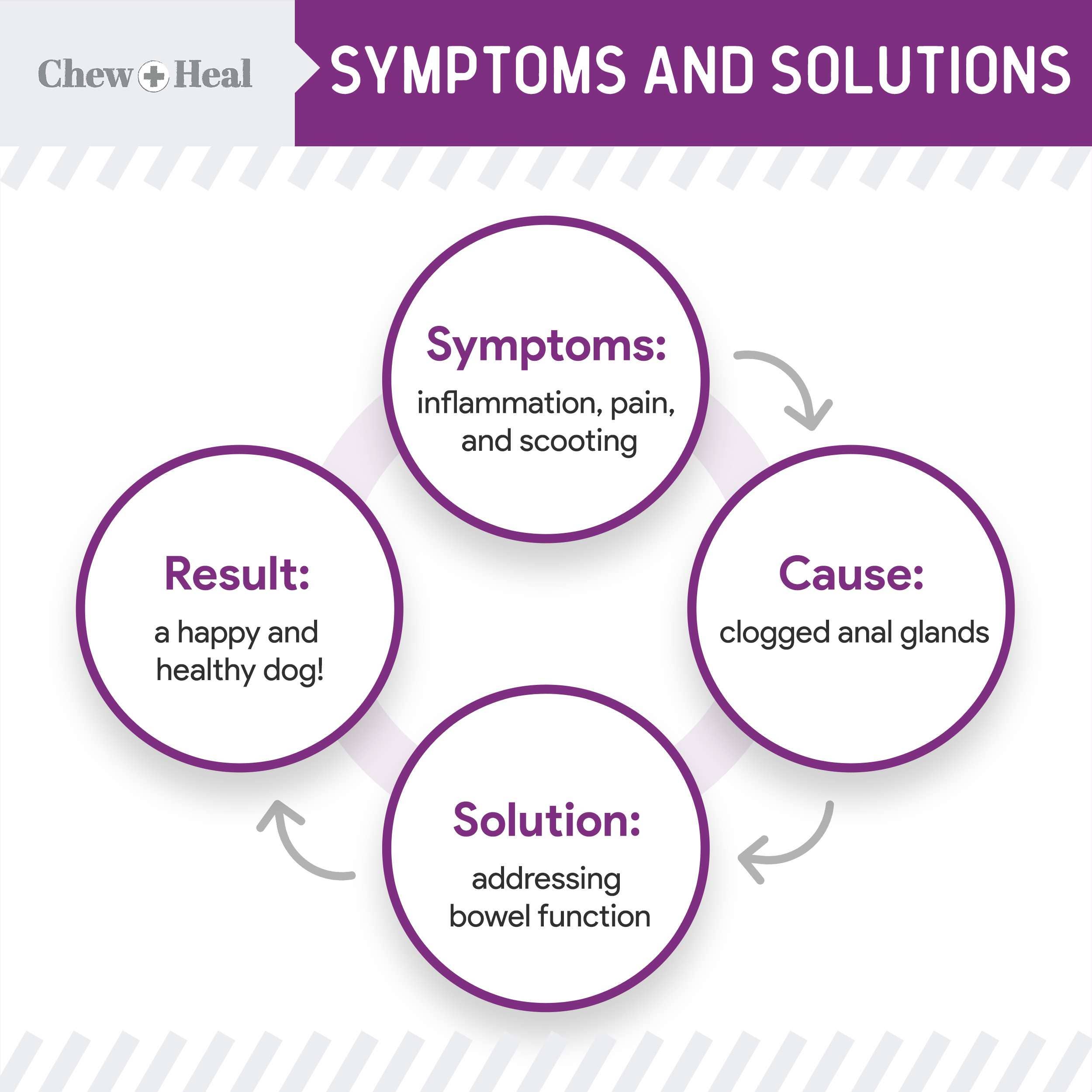 Chew + Heal Stop the Scoot Anal Gland & Bowel Support