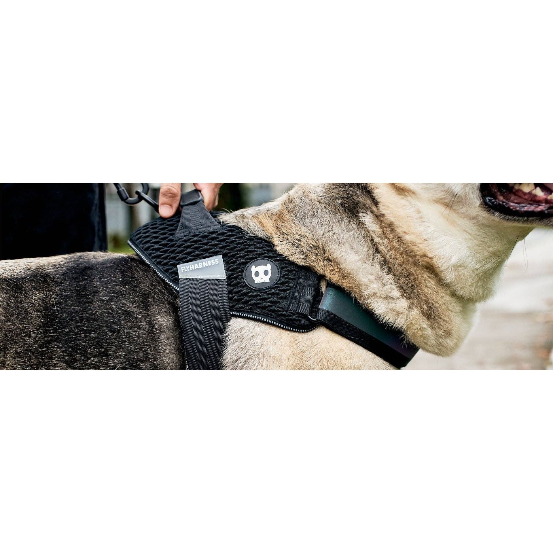 Zee.Dog Fly Harness - Gotham