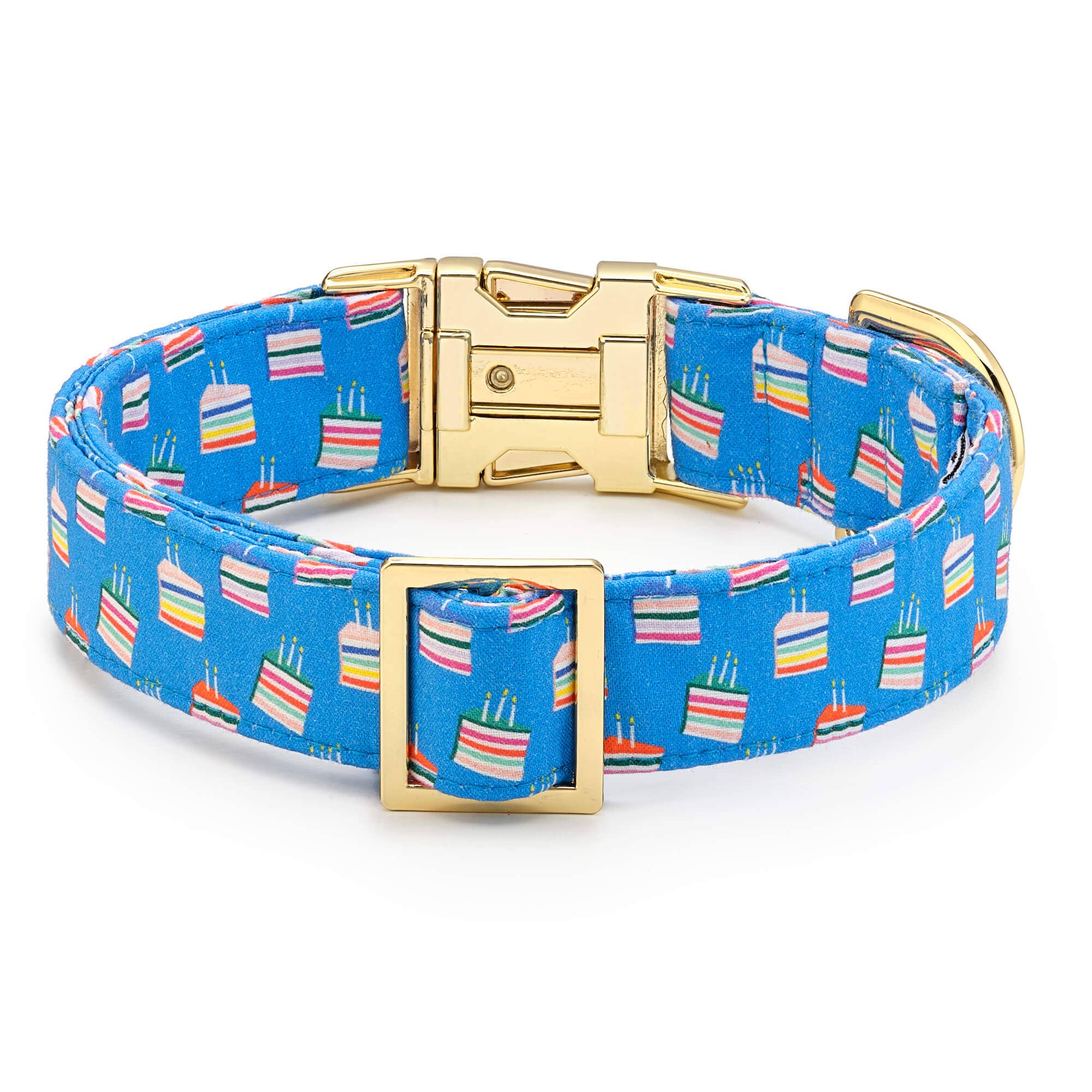 The Foggy Dog Make A Wish Birthday Dog Collar
