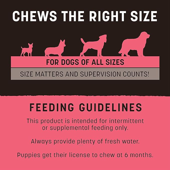 Earth Animal Dog No Hide Salmon Strips