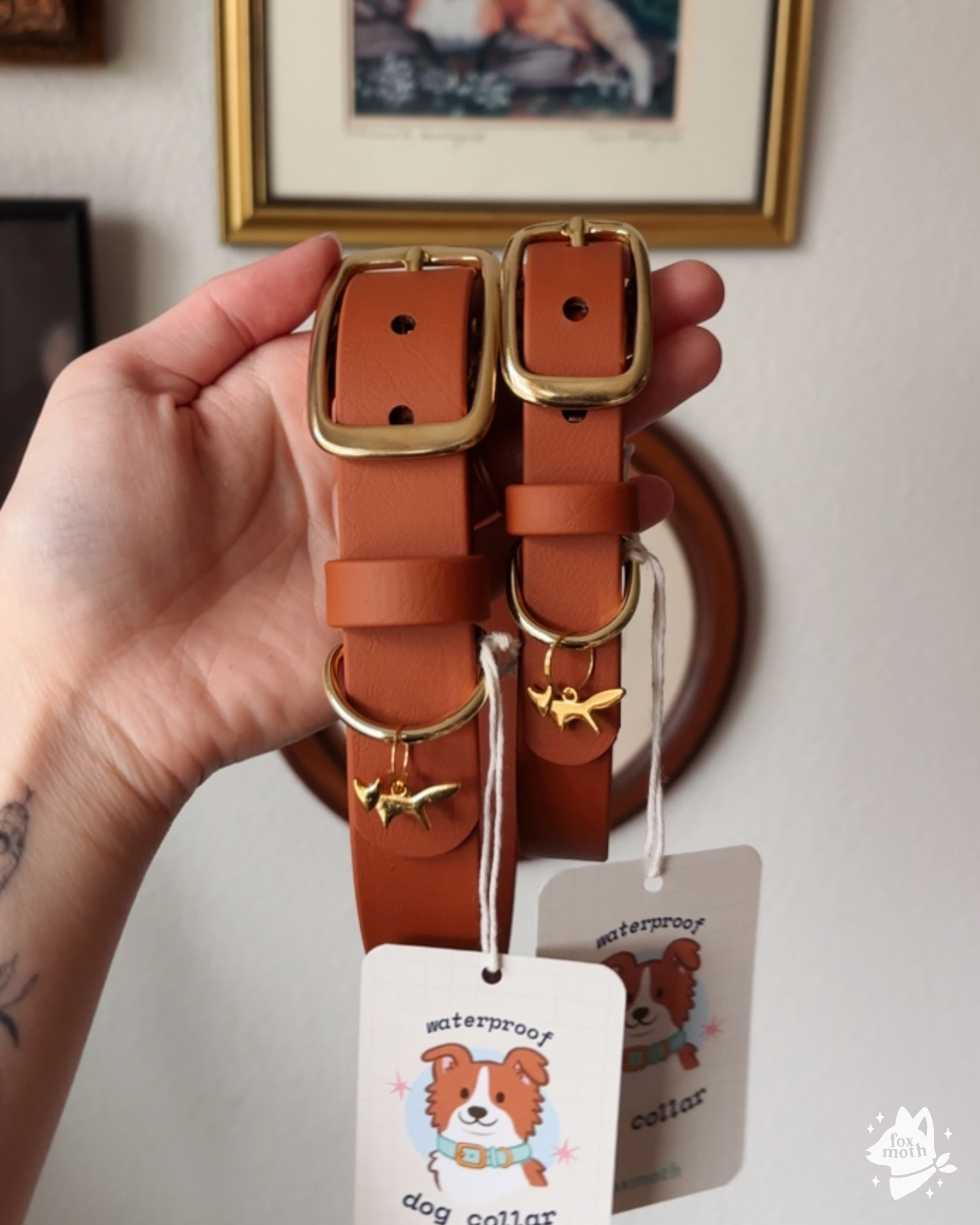 Foxmoth Waterproof Biothane Collar