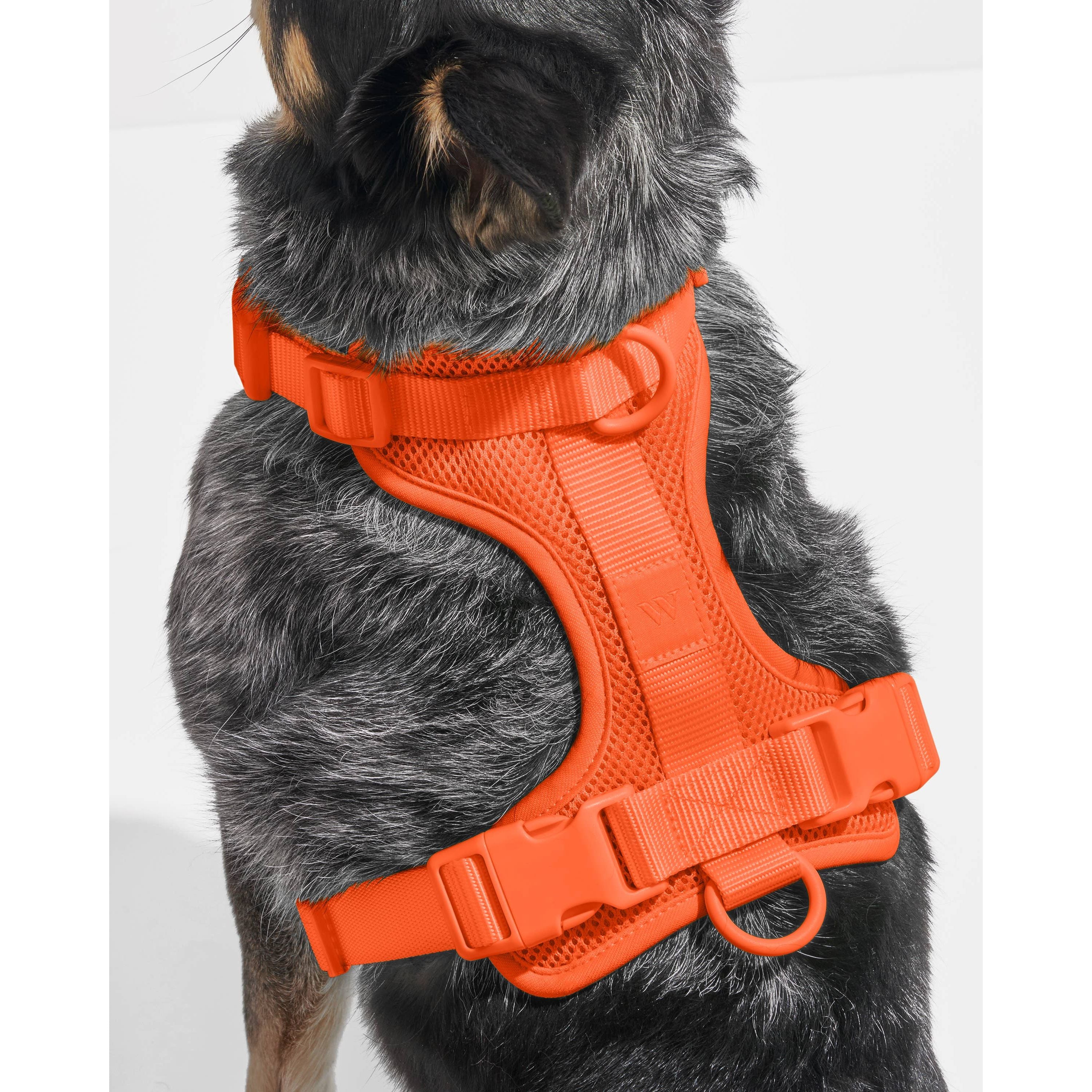 Wild One Adjustable Comfort Dog Harness