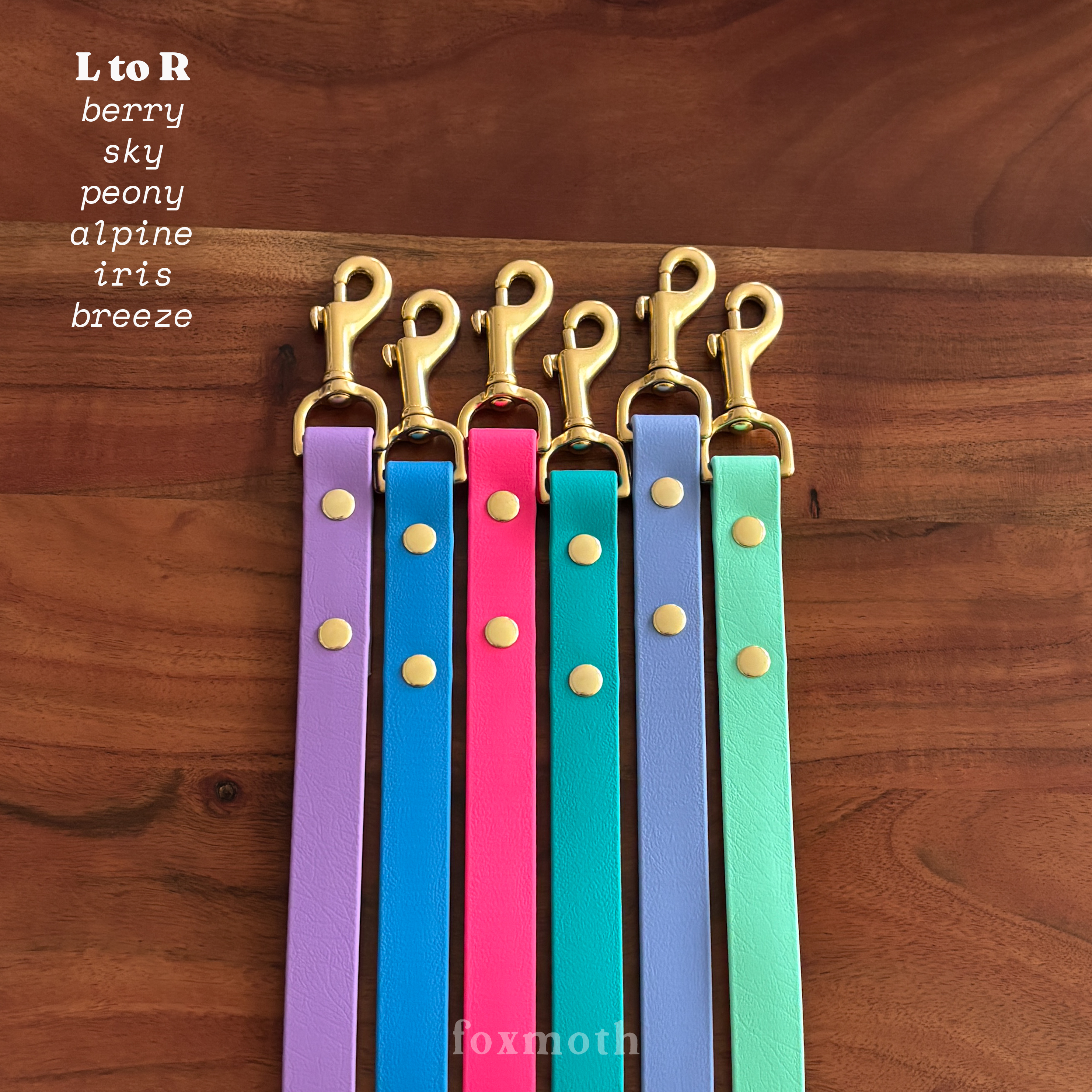 Foxmoth Biothane Waterproof Leash