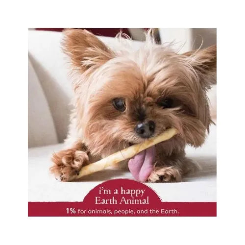 Earth Animal Dog Cat No Hide Beef Stix 10ct Treat