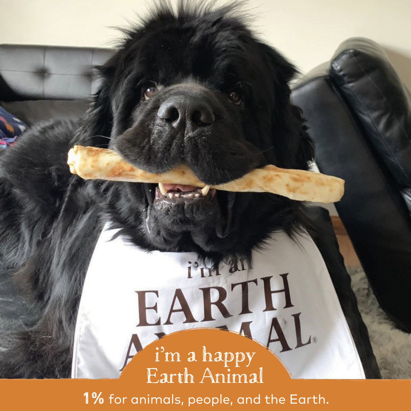 Earth Animal Dog No Hide Chicken Strips