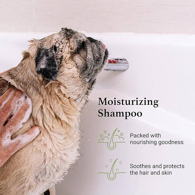 iGroom Argan Vitamin E Moisturizing Shampoo 16oz