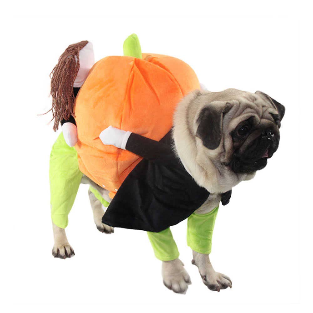 Pet Life Halloween Pumpkin Costume