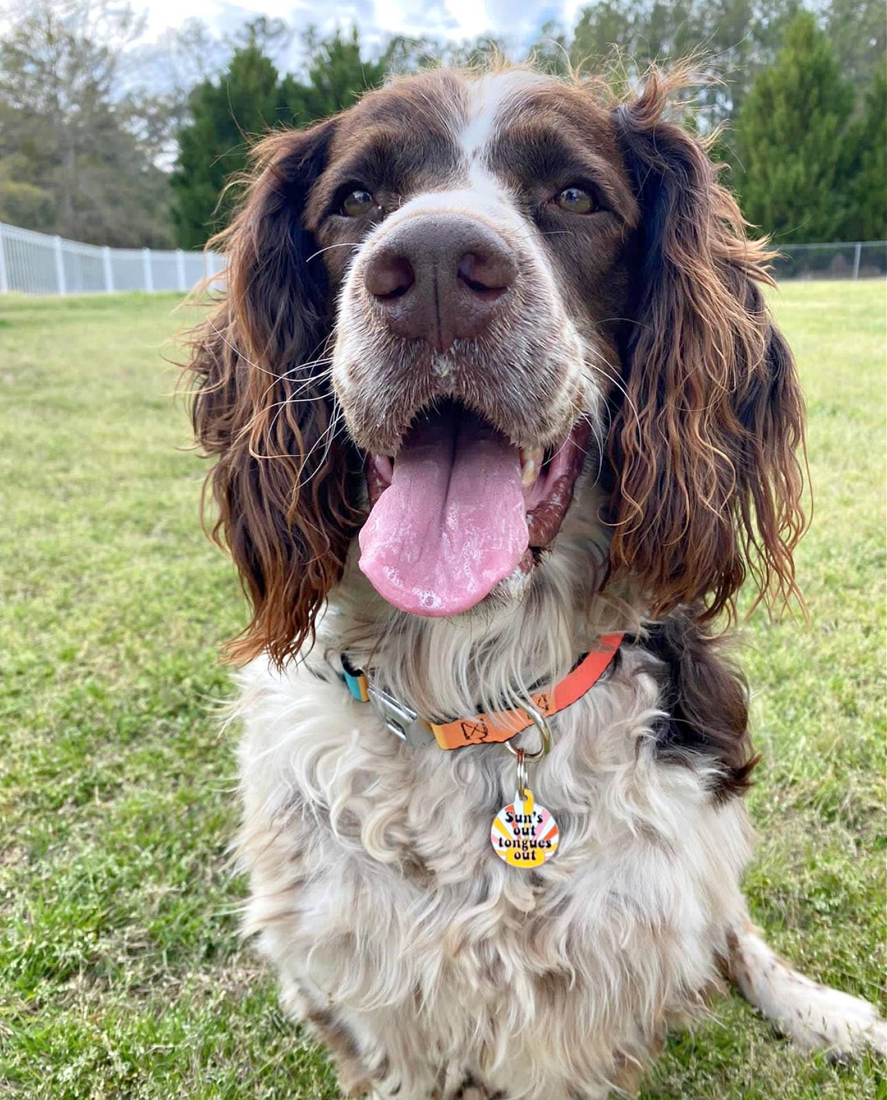 Bad Tags Suns Out Tongues Out