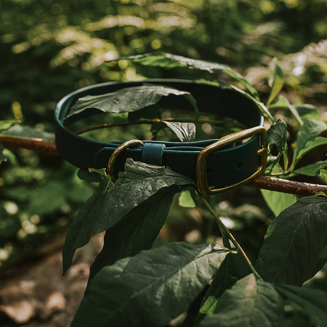 Foxmoth Waterproof Biothane Collar