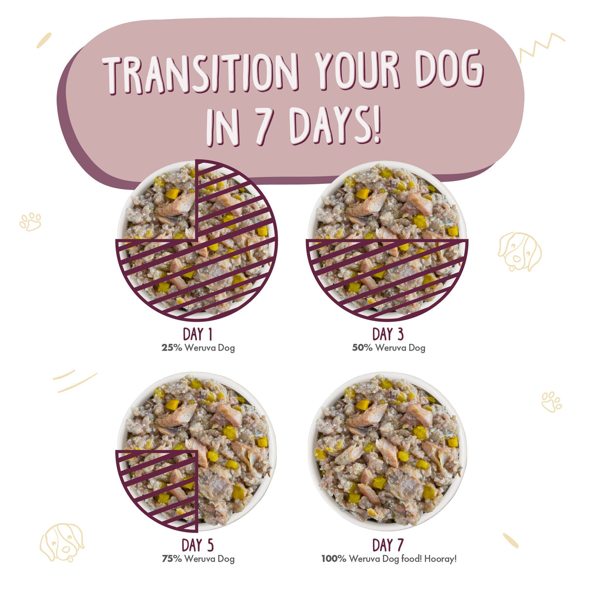 Weruva Hot Dayum 14oz