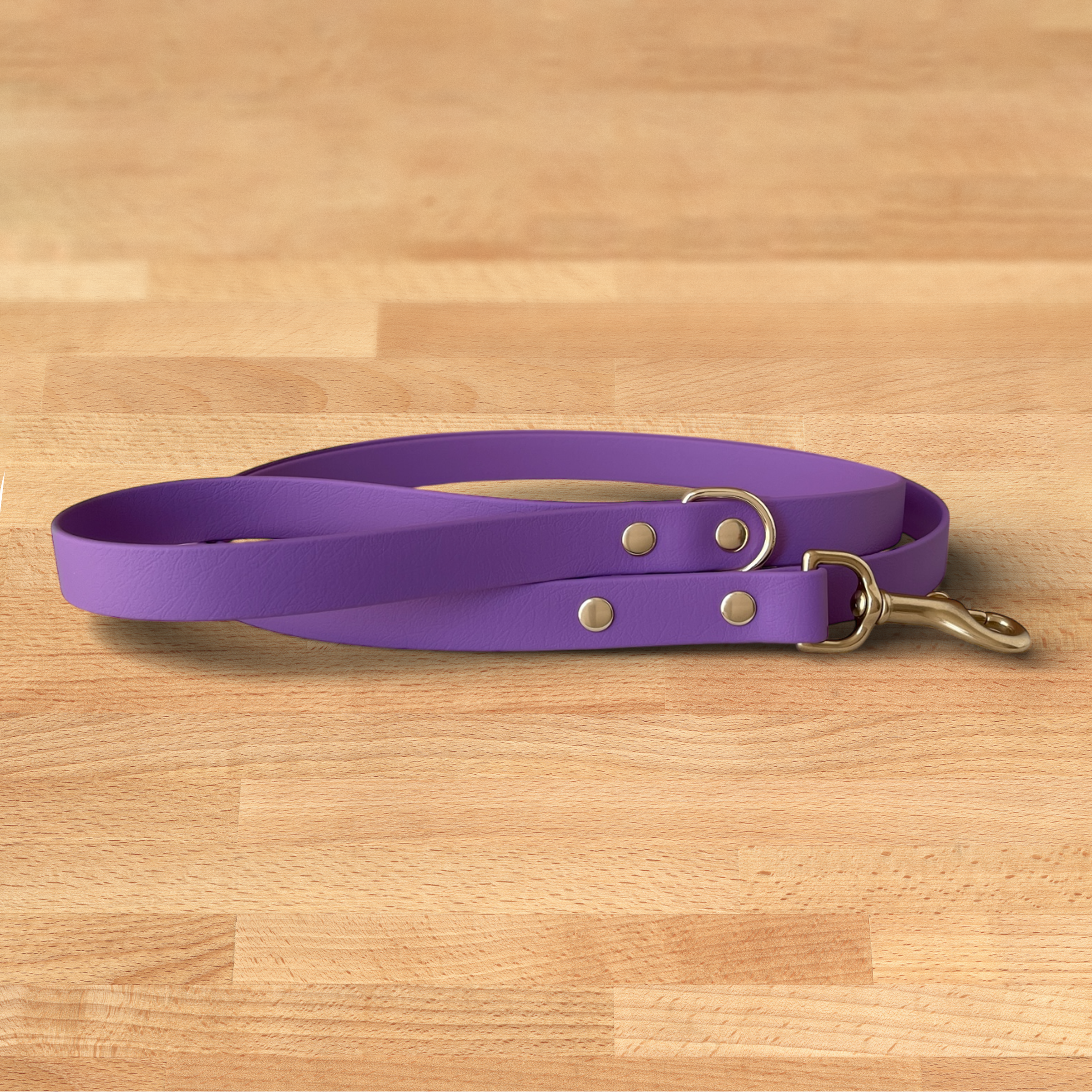 Foxmoth Biothane Waterproof Leash