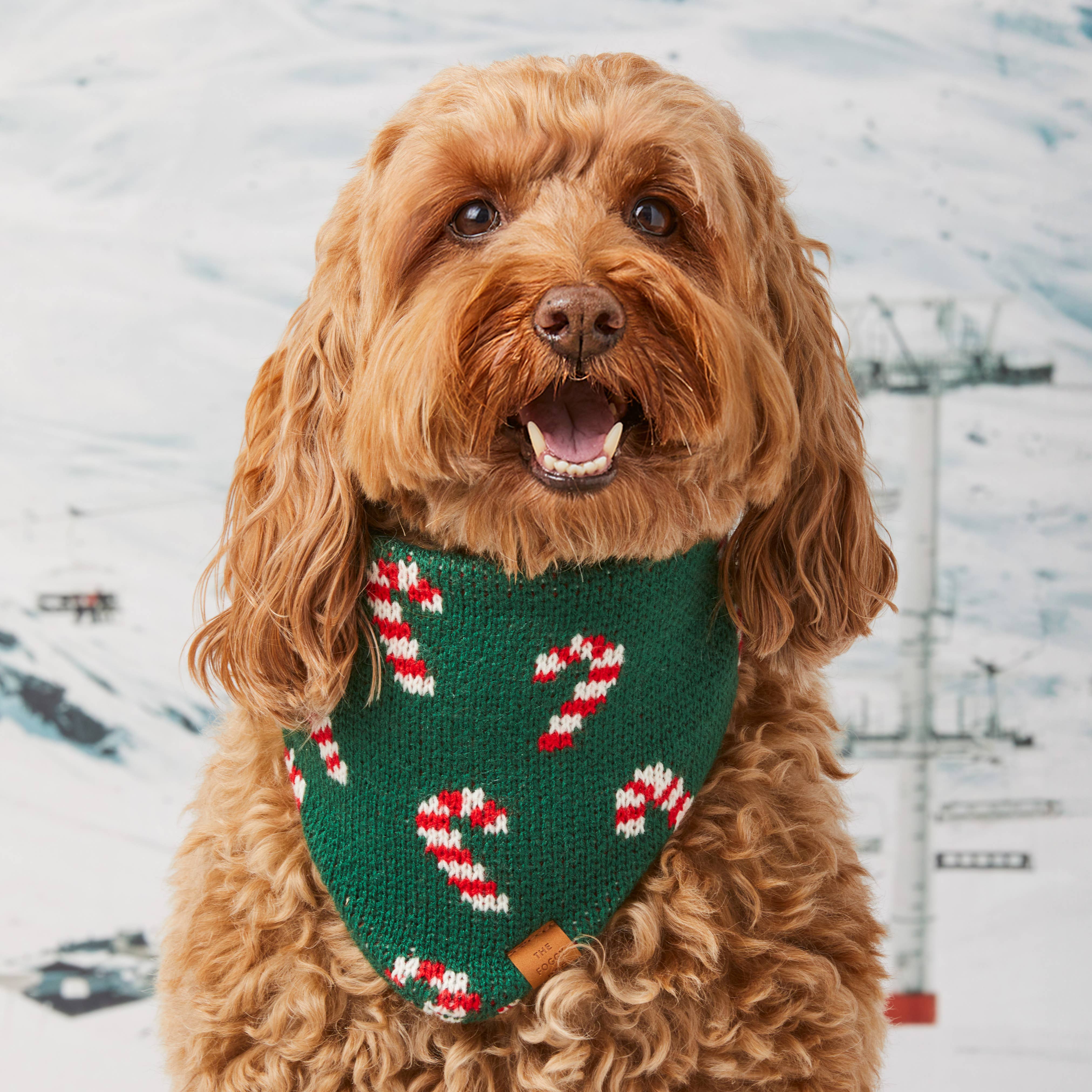 Candy Cane Knit Holiday Dog Bandana