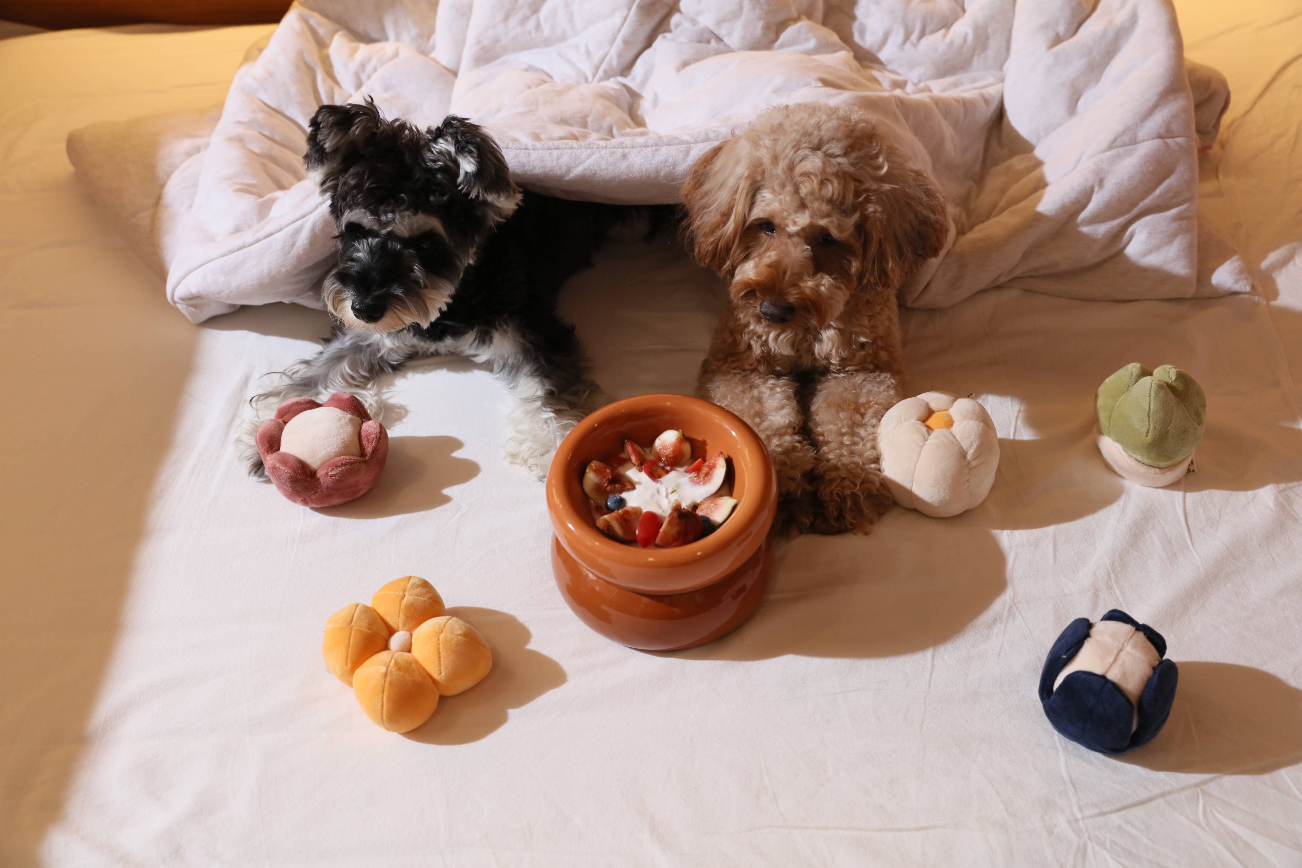Pehom Soufflé Pet Bowl - Amber Orange