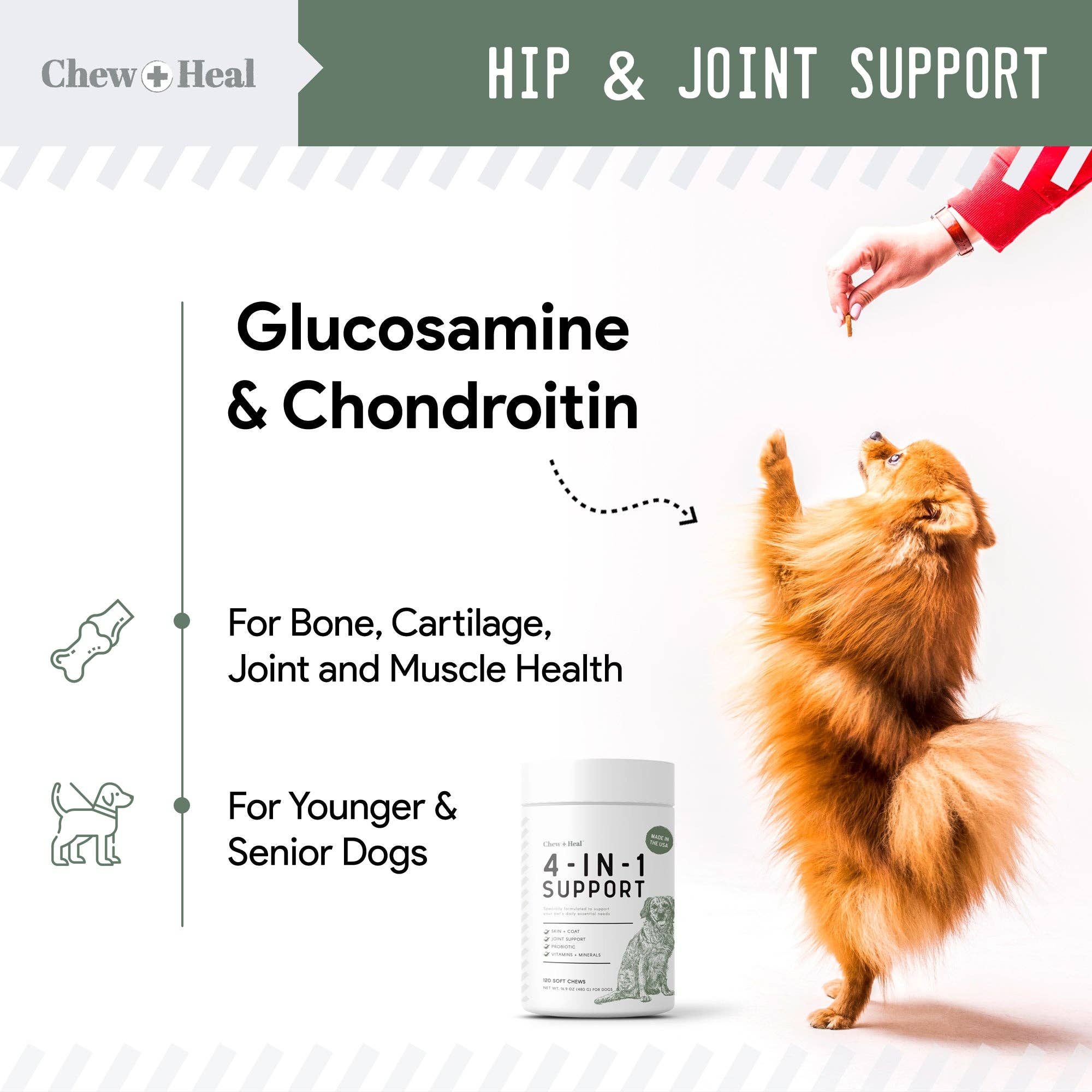 Chew + Heal 4-IN-1 Support Supplement