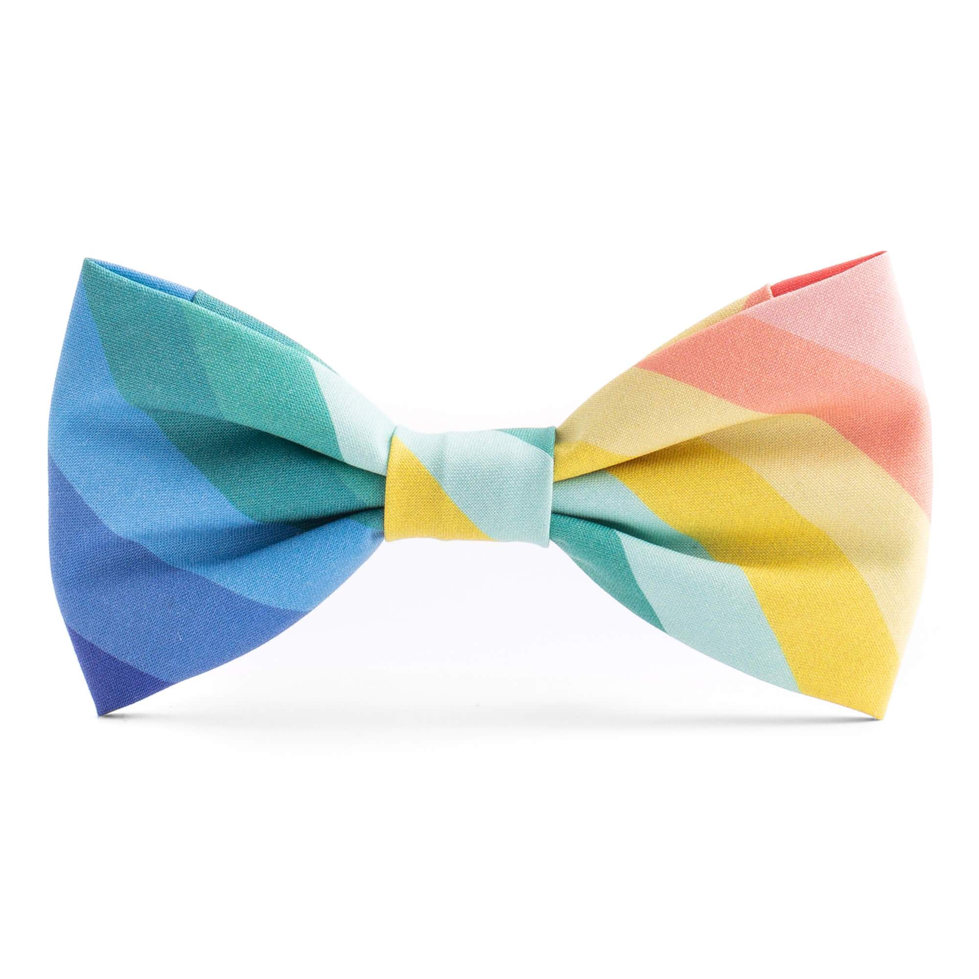 The Foggy Dog Over the Rainbow Dog Bow Tie