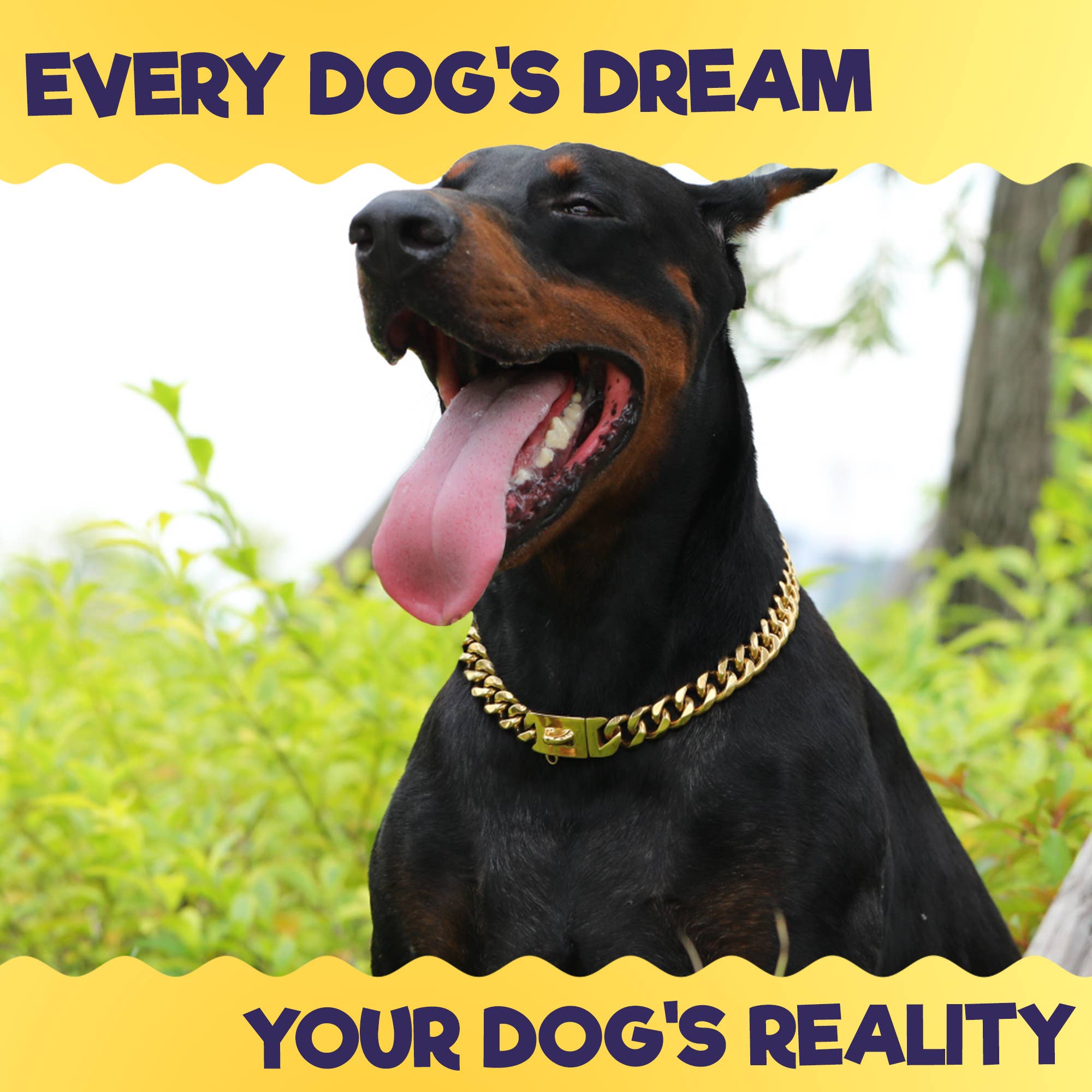 Vudeco Tarvos Gold Chain Dog Collar with Secure Snap Buckle - 19mm