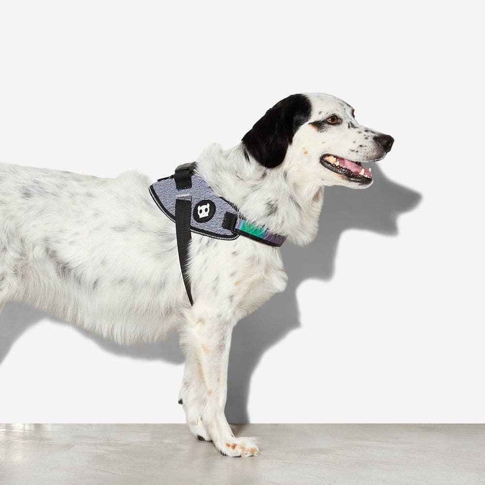 Zee.Dog FlyHarness - Urban