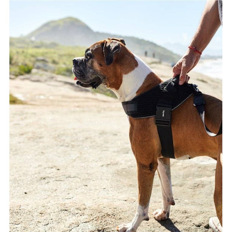 Zee.Dog Fly Harness - Gotham