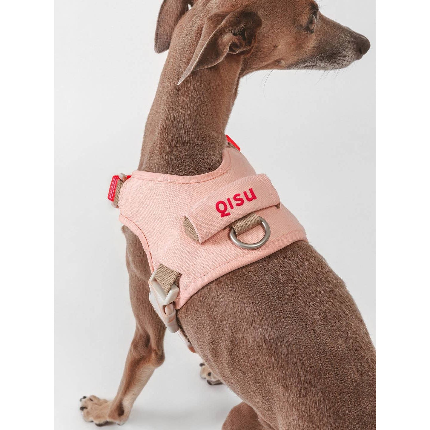 Qisu Hug Harness
