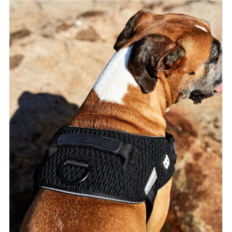 Zee.Dog Fly Harness - Gotham