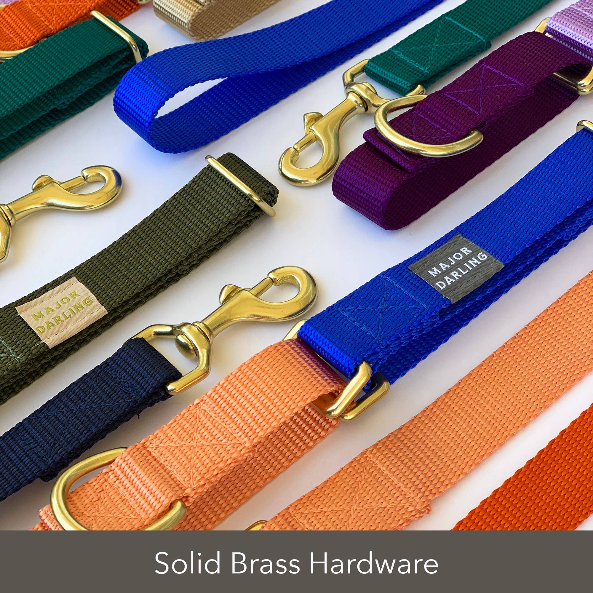 Major Darling Peach with Gold Martingale Collar