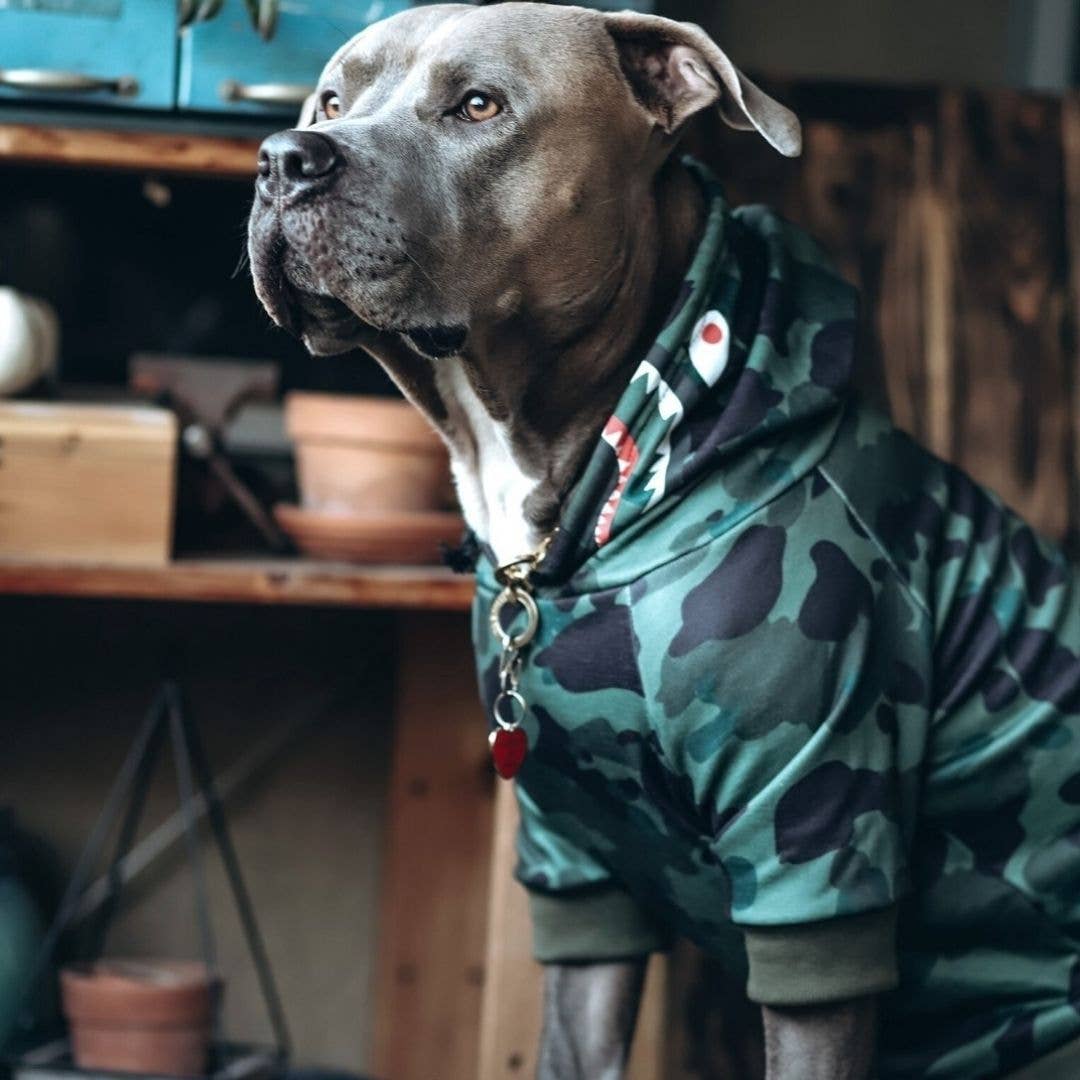 SparkPaws Shark Monster Dog Hoodie - Green Camo